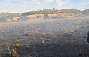 incendio nova santa helena