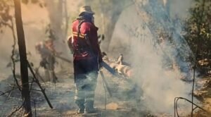 Bombeiro combate inc&ecirc;ndio florestal no Pantanal