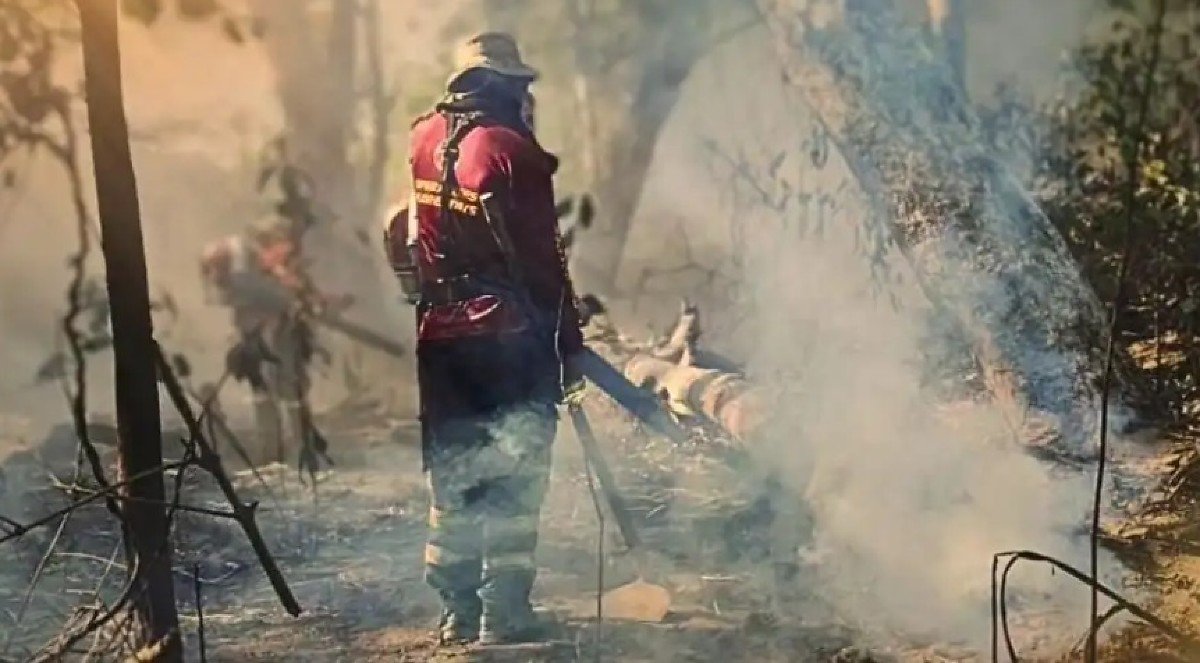 Bombeiro combate inc&ecirc;ndio florestal no Pantanal