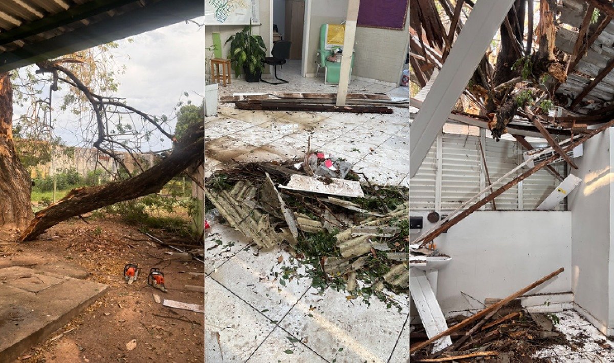 Queda de &aacute;rvore, USF Lixeira Ba&uacute;, Cuiab&aacute;