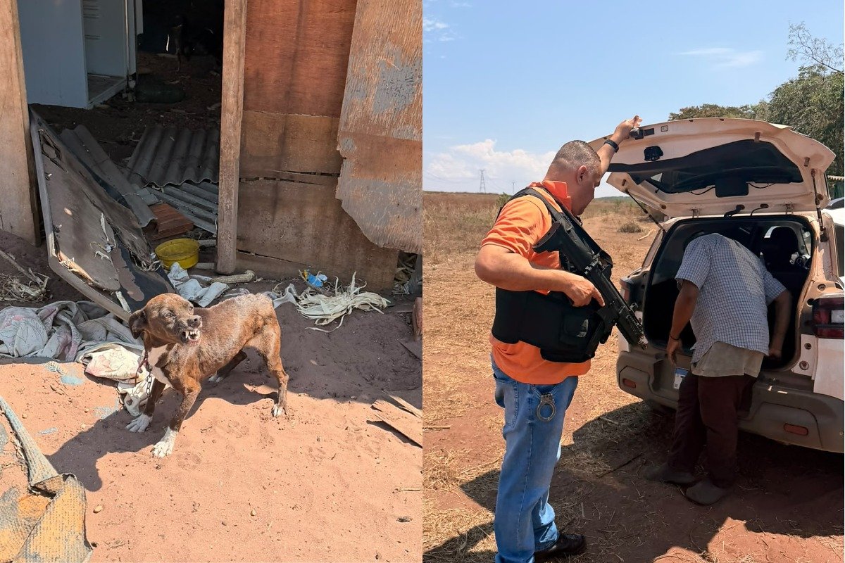 opera&ccedil;&atilde;o guarda rompida jaciara maus-tratos sobrinhos