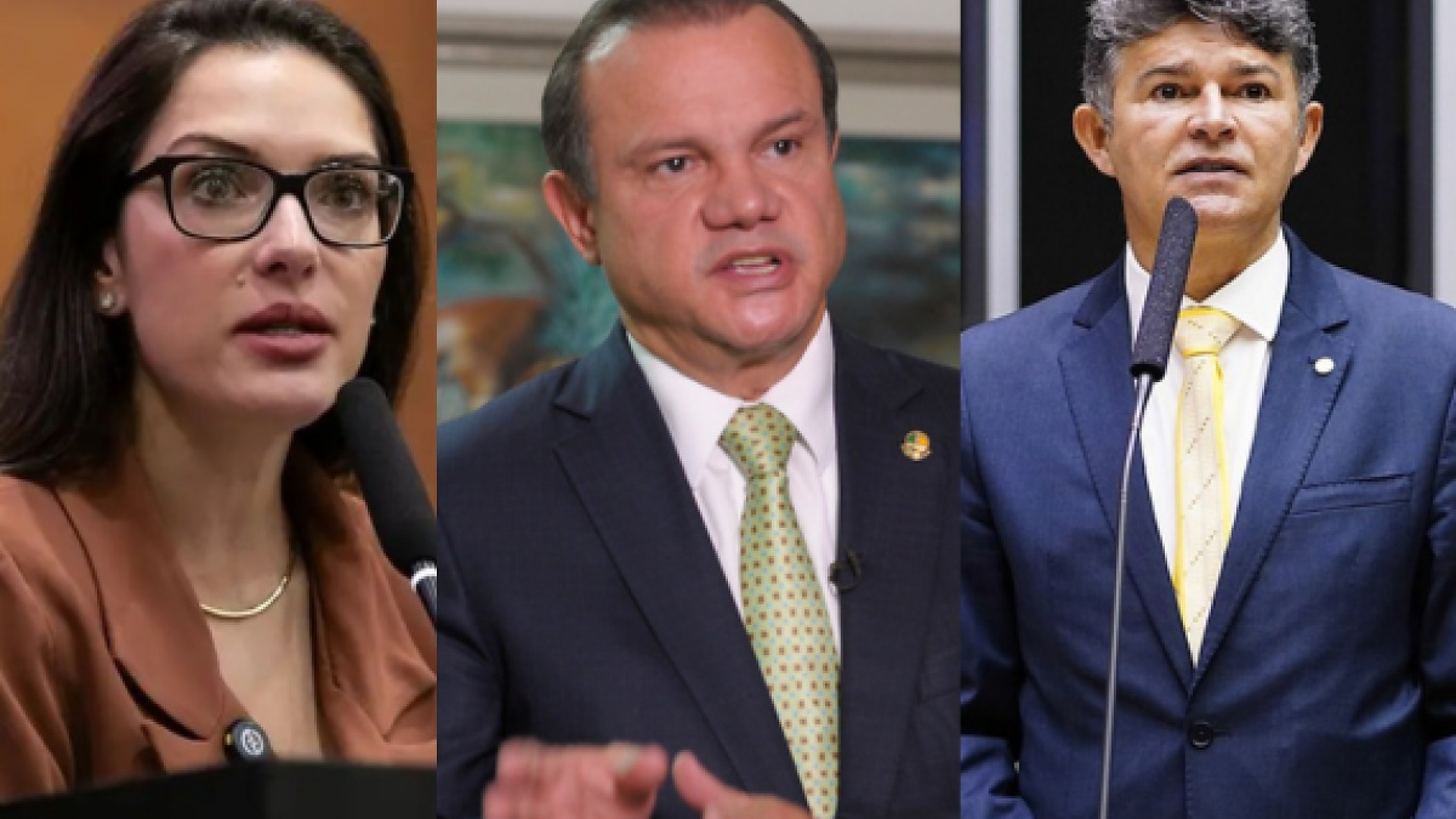 Janaina,  Wellington Fagundes , Medeiros