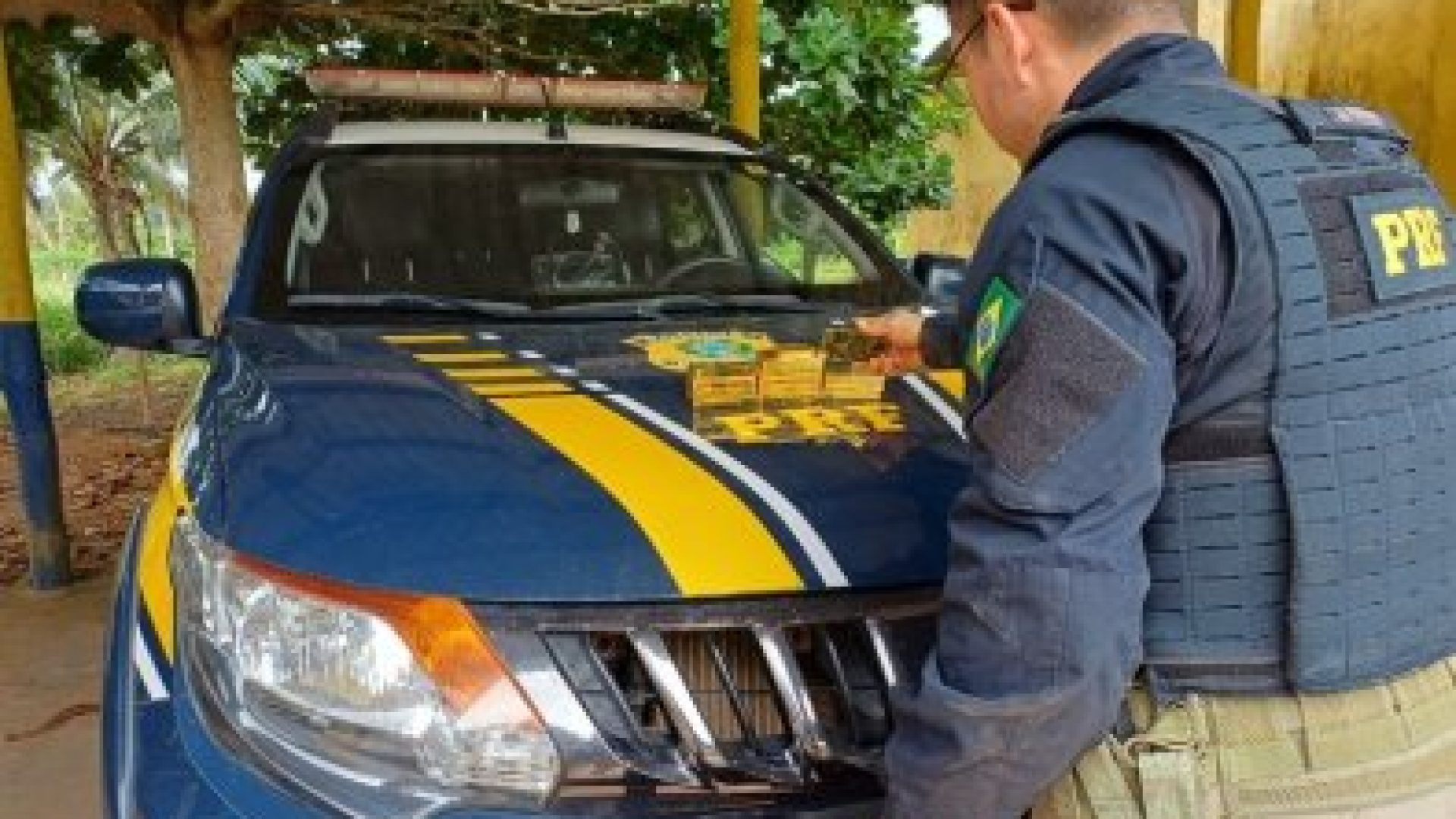 02daf30bd461fad2fa5bacb72622d8f1