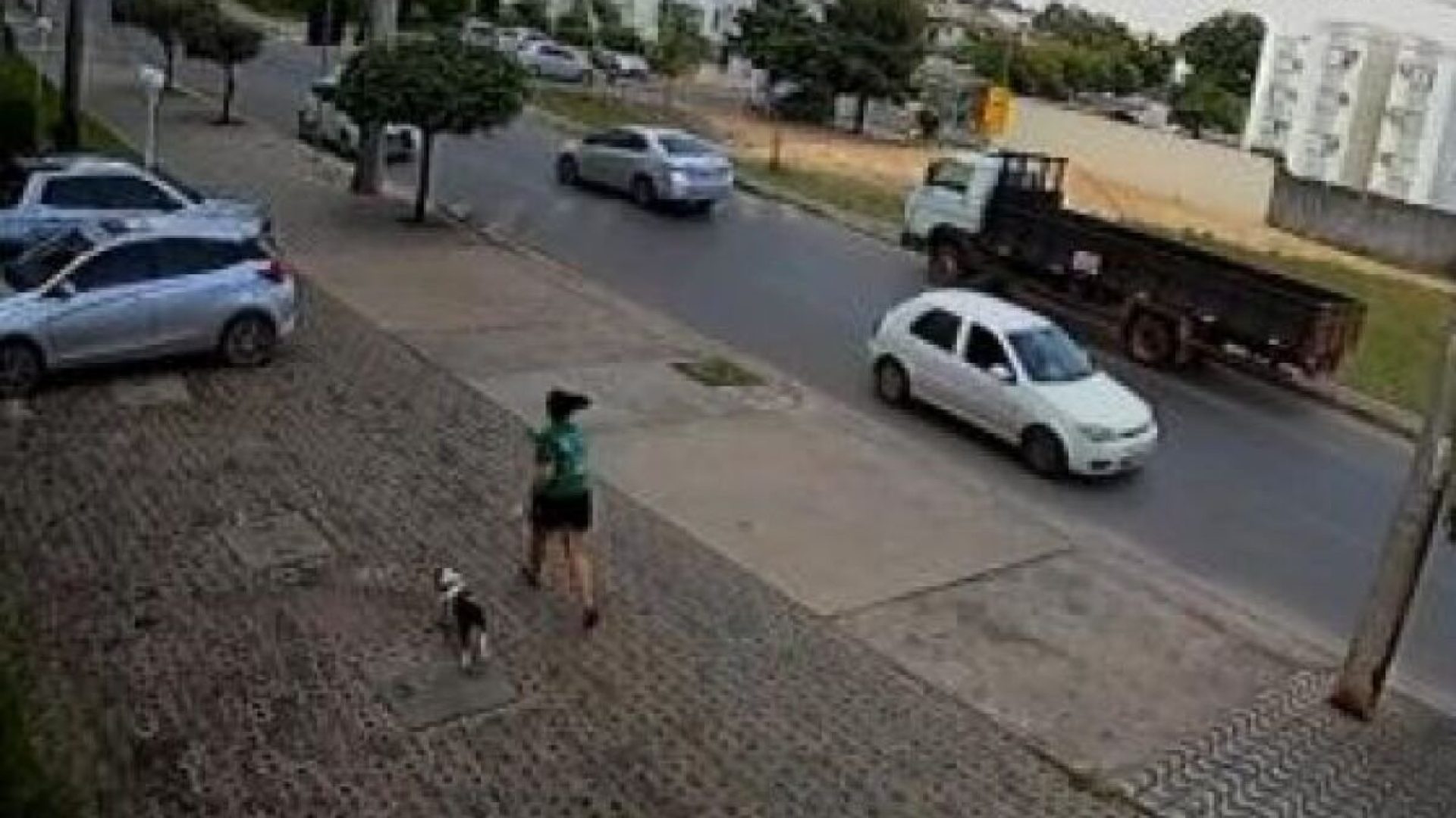 083df10d48fc29970014dff15527ee5f.jpg