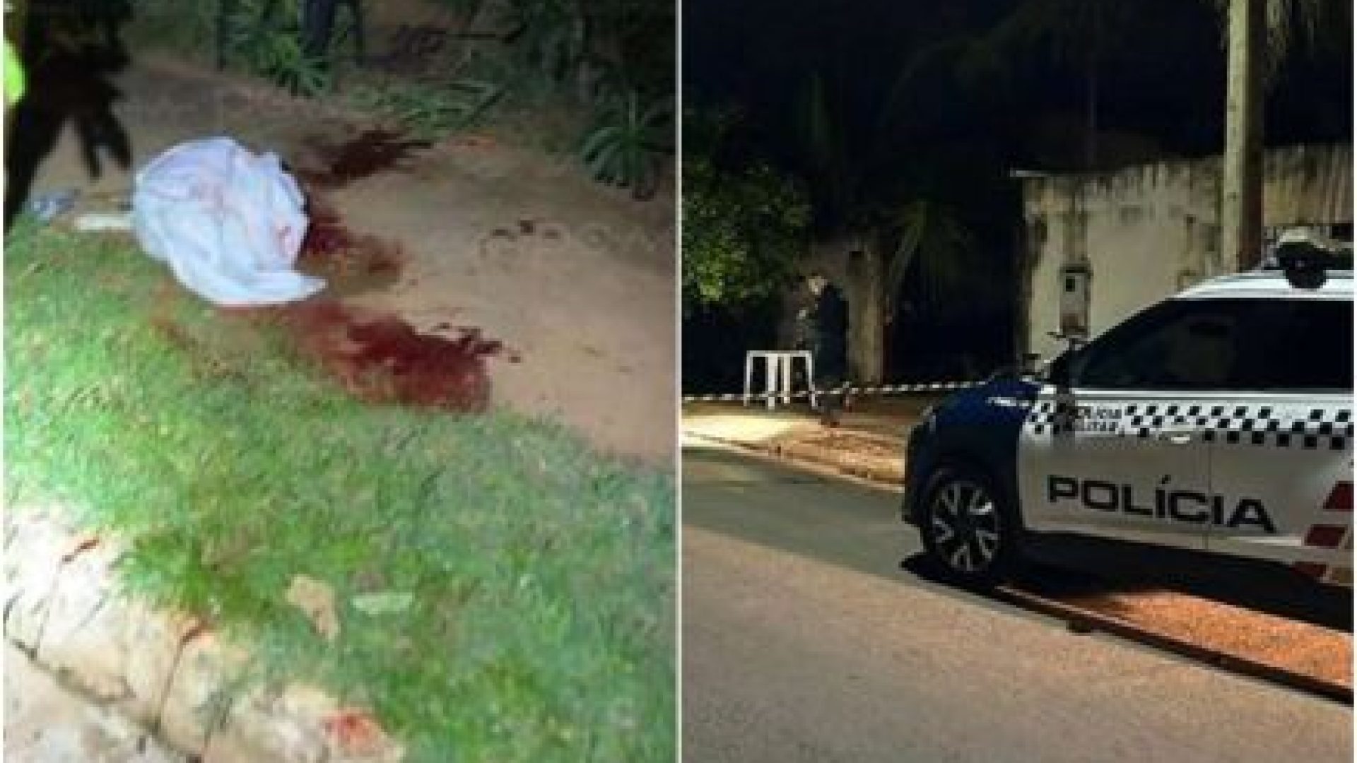 0b2831cfc5d87855386c4a200c2ed612