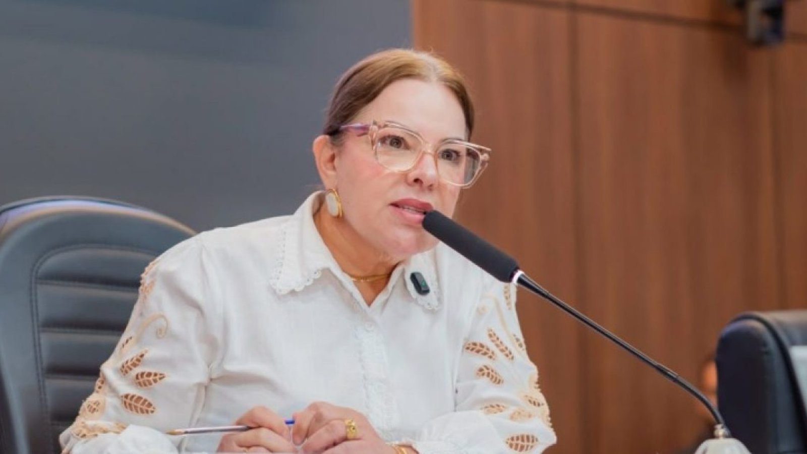 139450_paula-calil-reforca-combate-a-violencia-contra-a-mulher-e-alerta-para-avanco-dos-casos-em-mat.jpeg