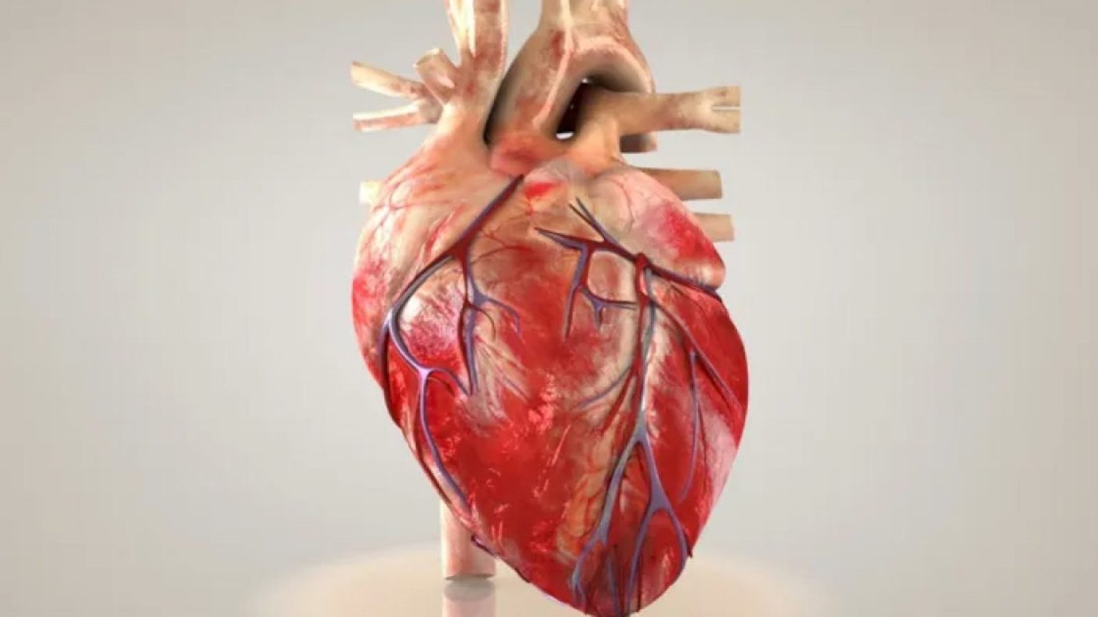139468_a-cada-72-segundos-uma-pessoa-morre-por-doenca-cardiovascular-no-pais-2577c671.webp.jpg