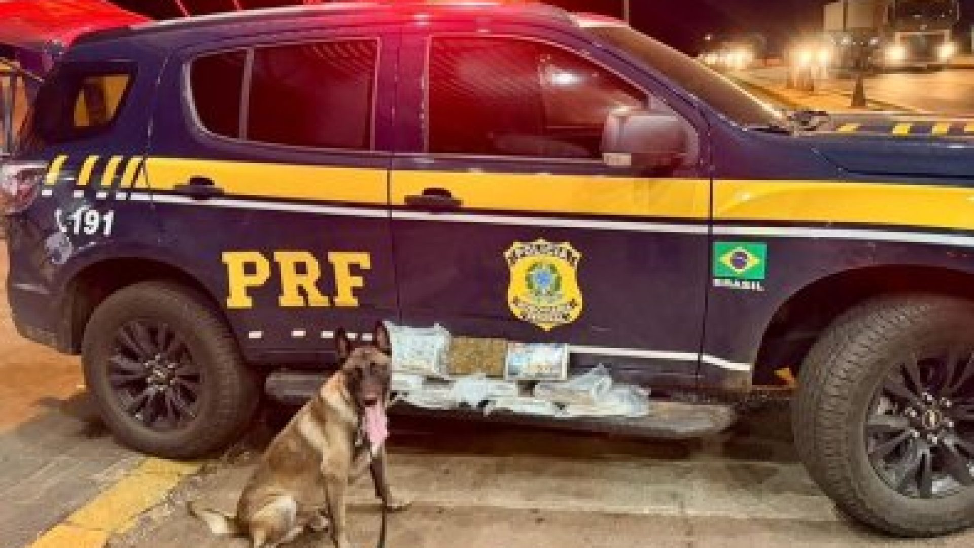 18c36e91851d564efaaed02ab76d494c