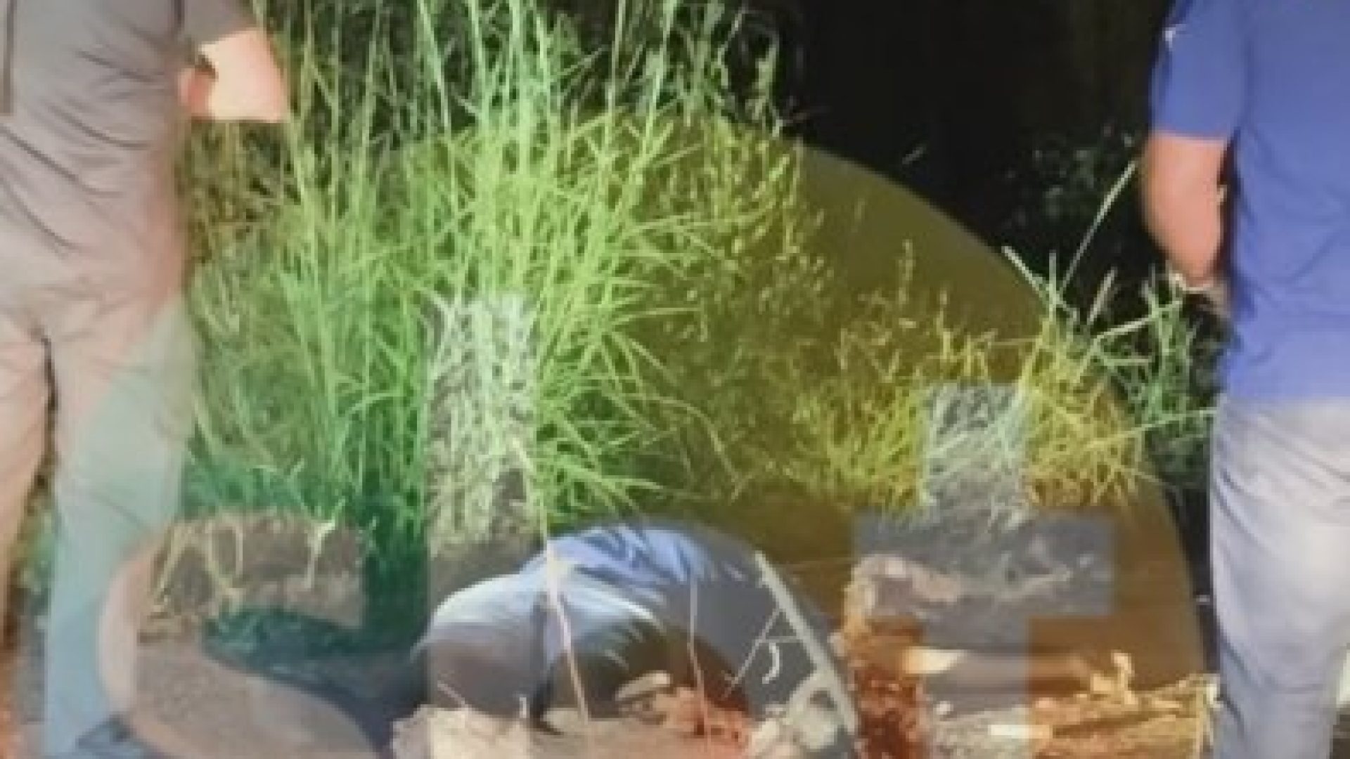 22f6a19231e4eddcc7fdb27a4438e5fa