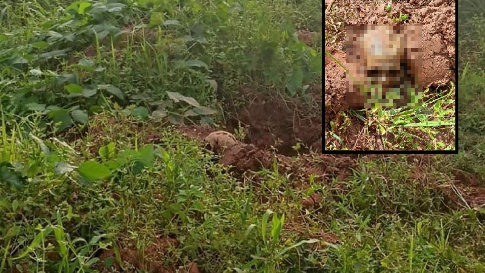 36626_7c10fb1e08ad9e5b8c165a1cc3b6b73f-jpg