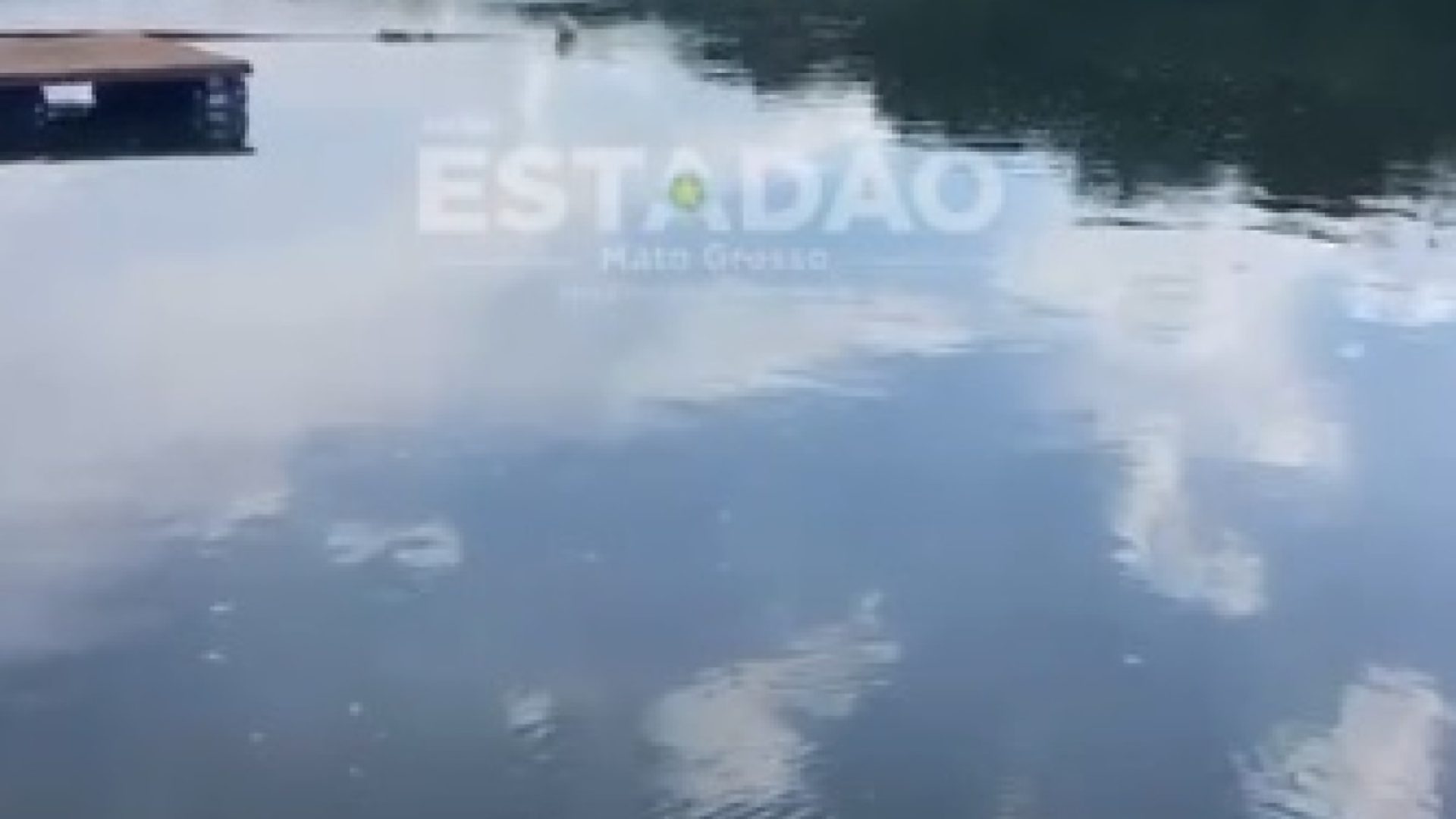 36caf313a446ef0d9b84b1321cb309b8-estadaomatogrosso-com-br.jpg