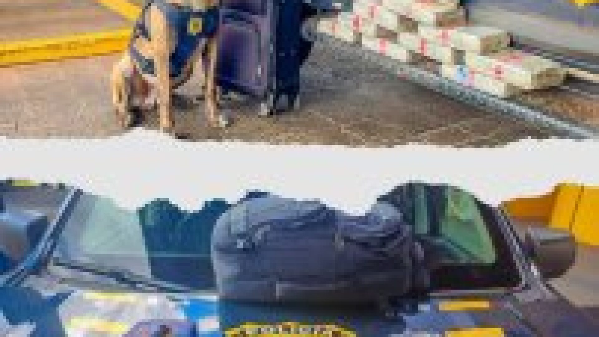 3f2adf03a50e72941149b05a538a1de2