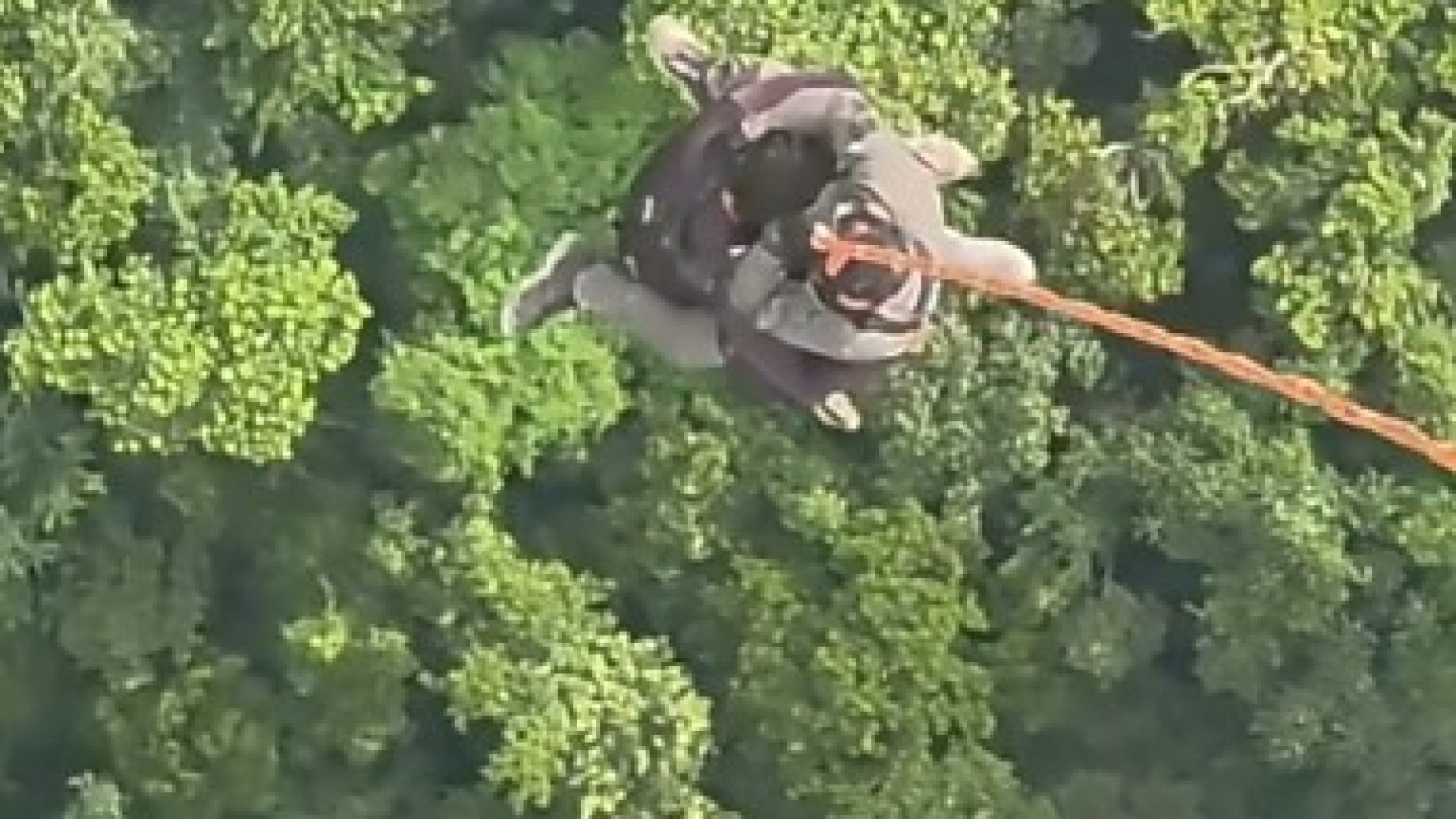 44605222abada887f26e1a2d31206887-reportermt-com