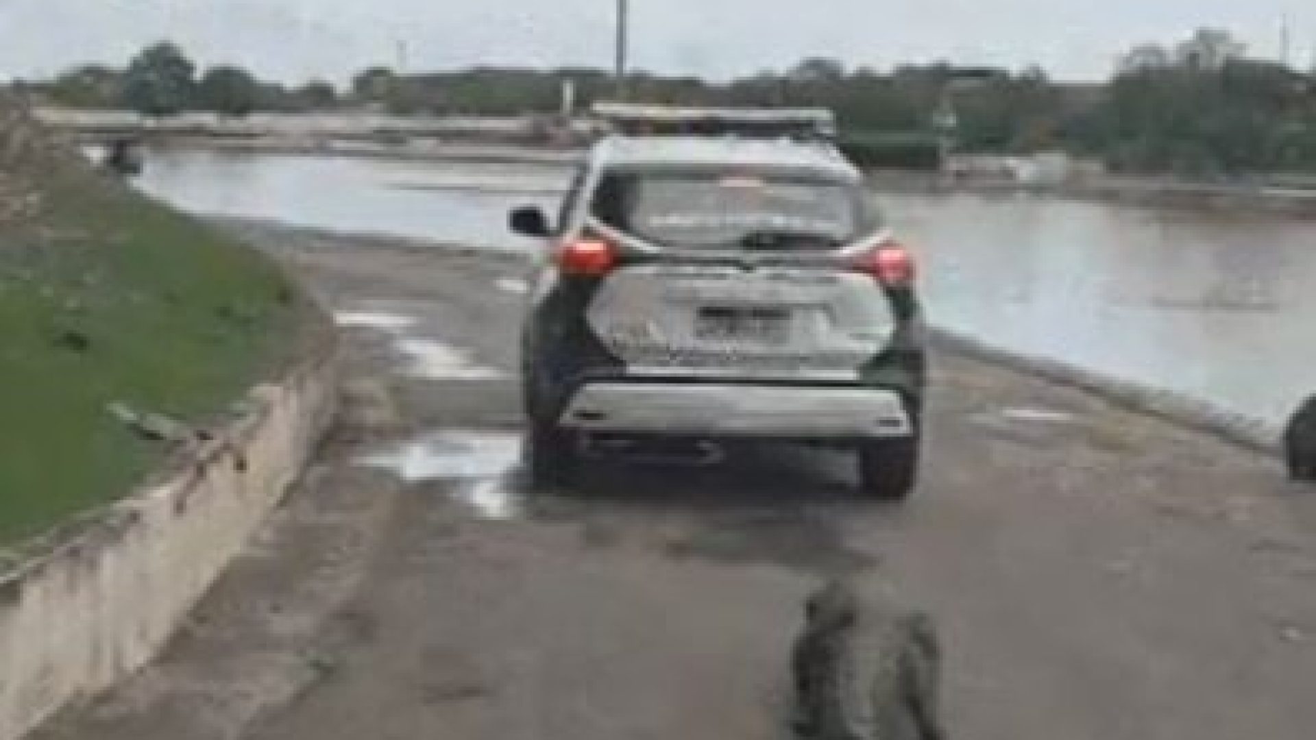 54acd2ff9660479542f2057db66fb852