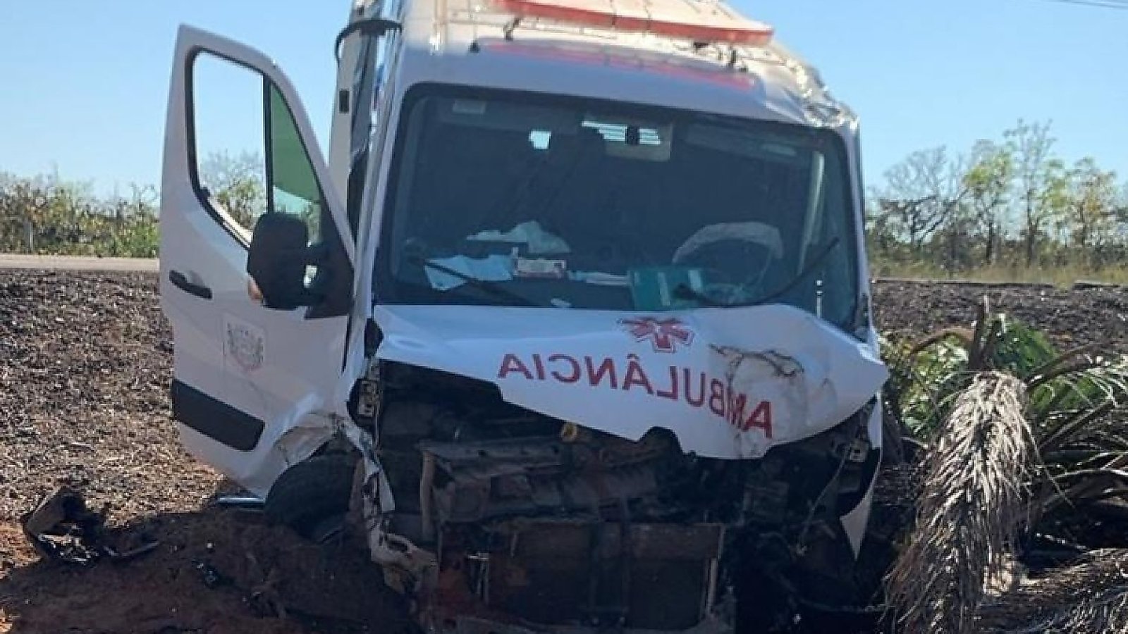 65f3119fc51b79a7f25cea37f2b0545e-cliquef5-com-br.jpg