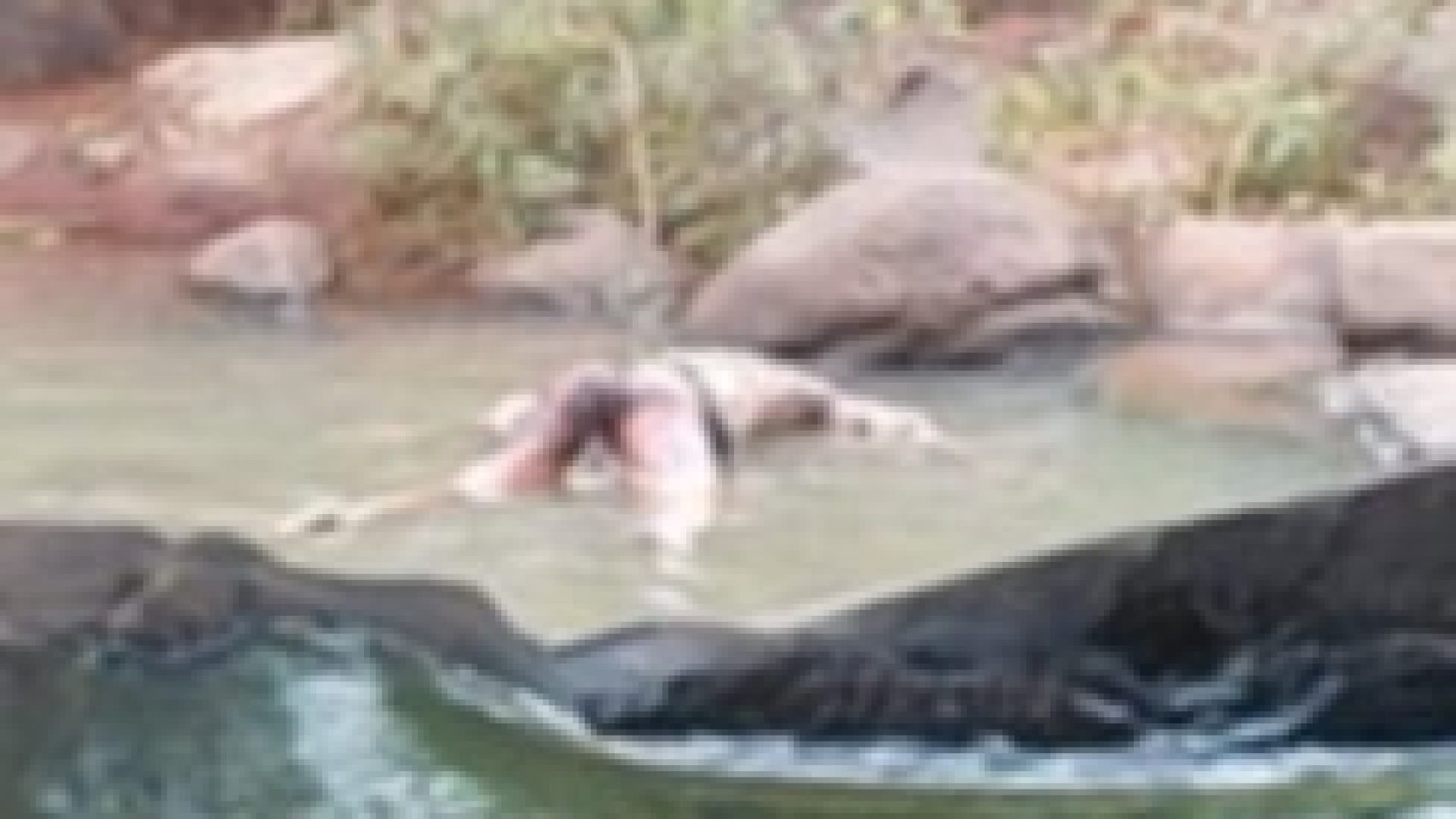 9d614cf3a37813370544e257abb4d0ba