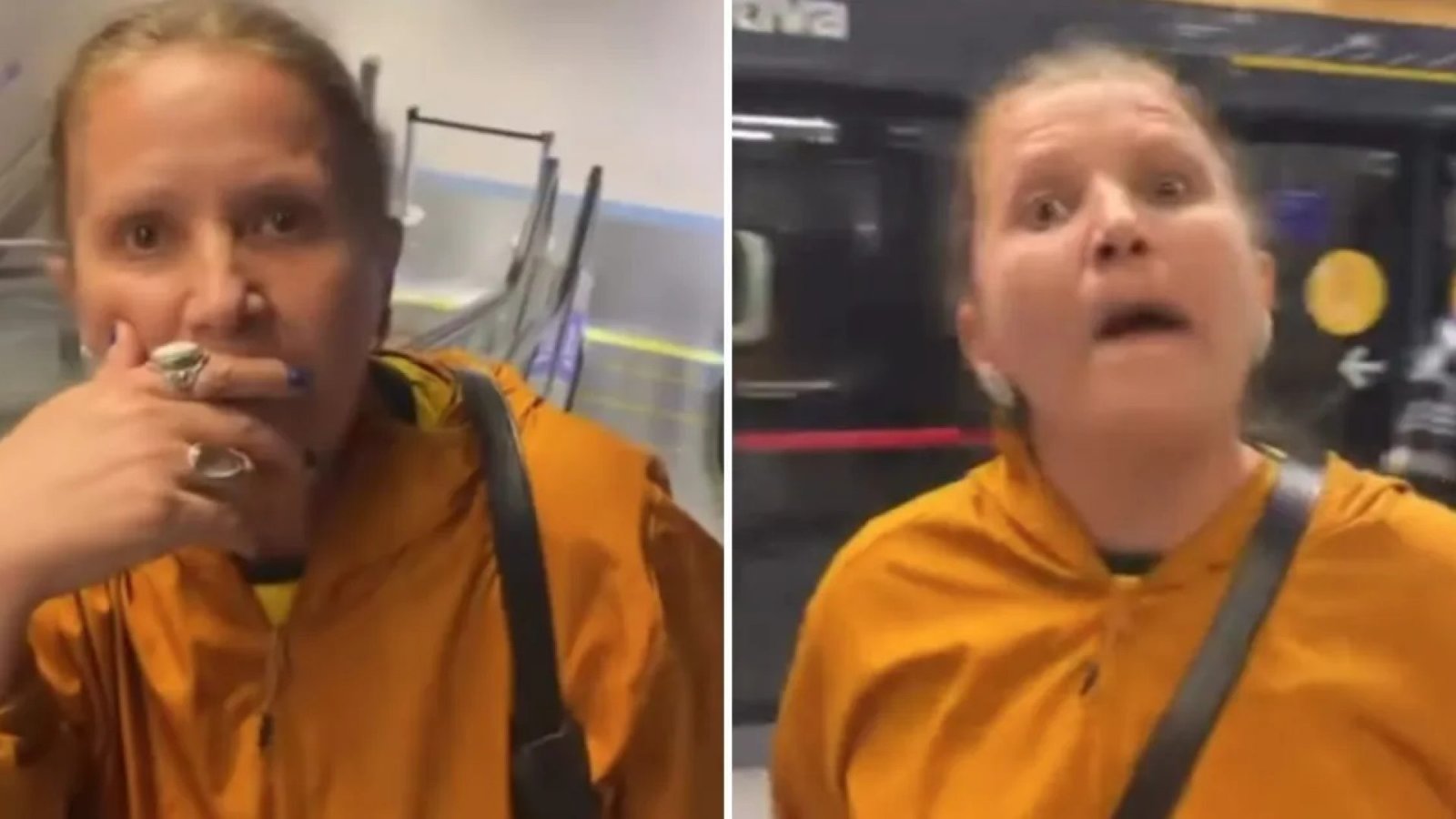 Imagens de senhora proferindo falas racistas à estudante no metrô de SP  • Reprodução