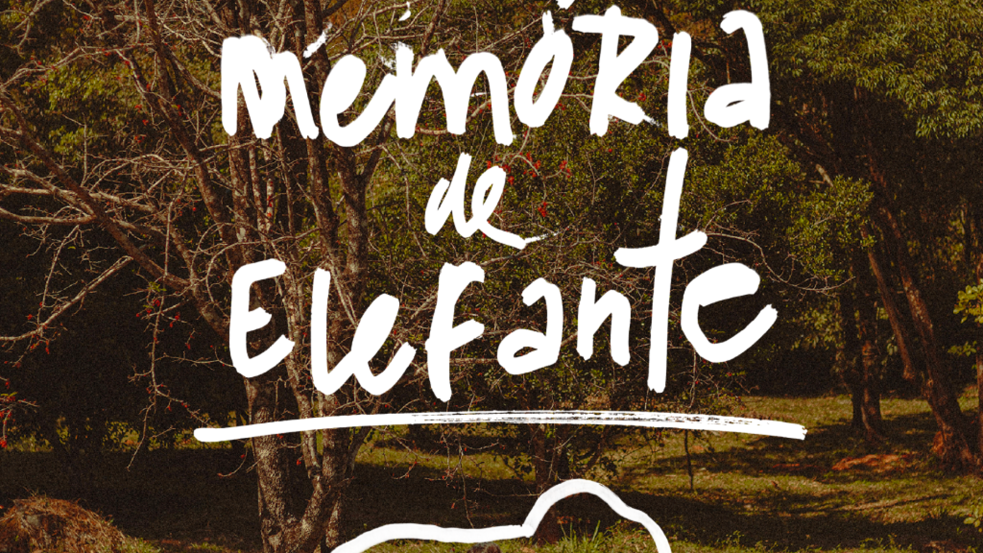 CARTAZ-MEMORIA-LOGO-e1782650879740-1024x775.png