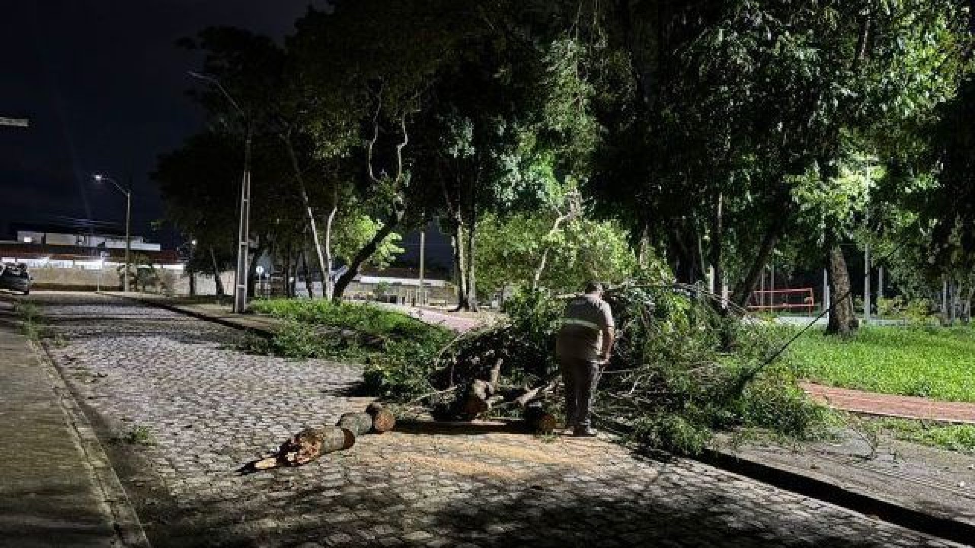 Chuvas: ministro diz que União tem ajudado municípios a decretar emergência