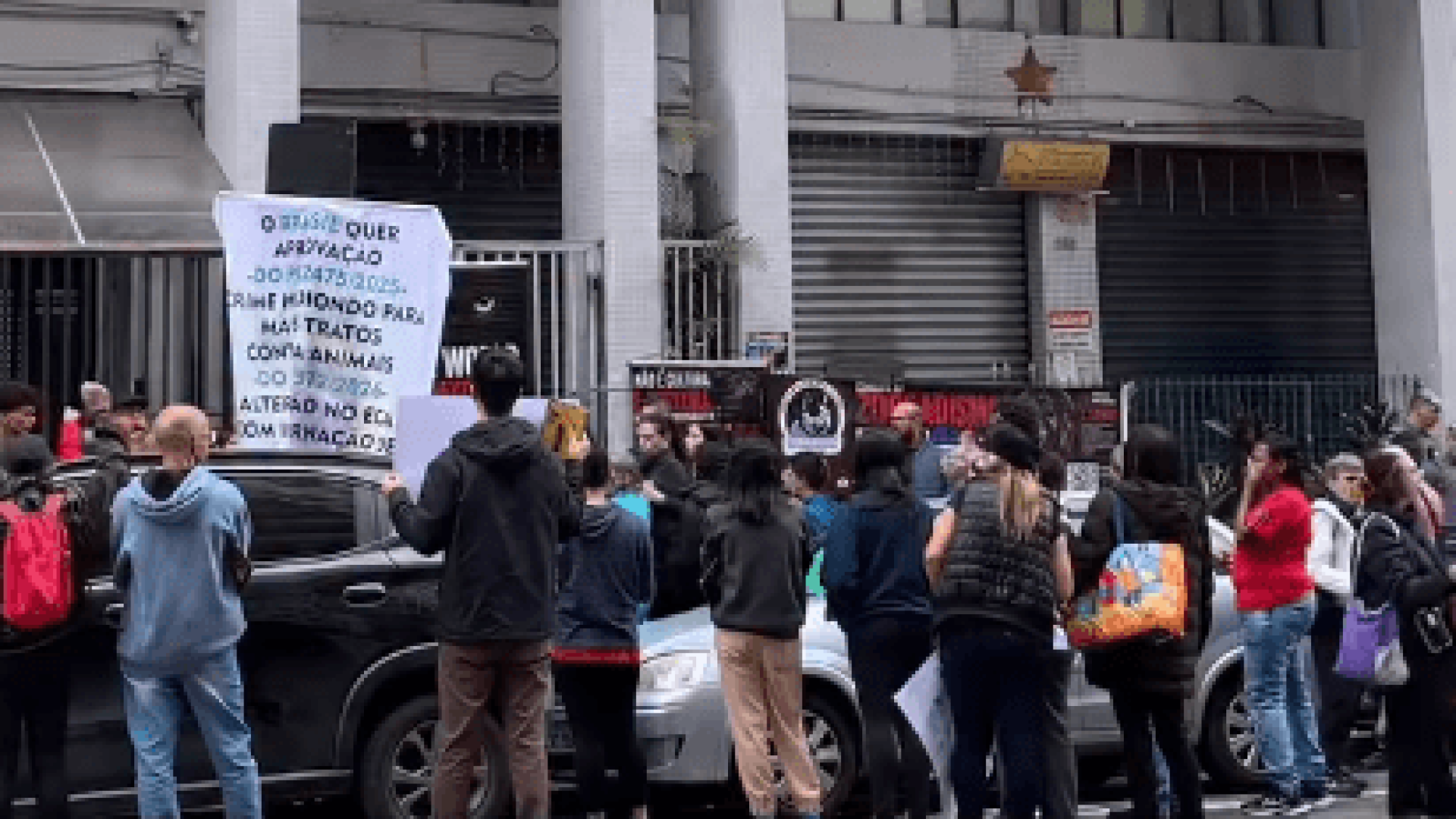 Lives de torturas de animais no Discord são investigadas pela polícia em SP
