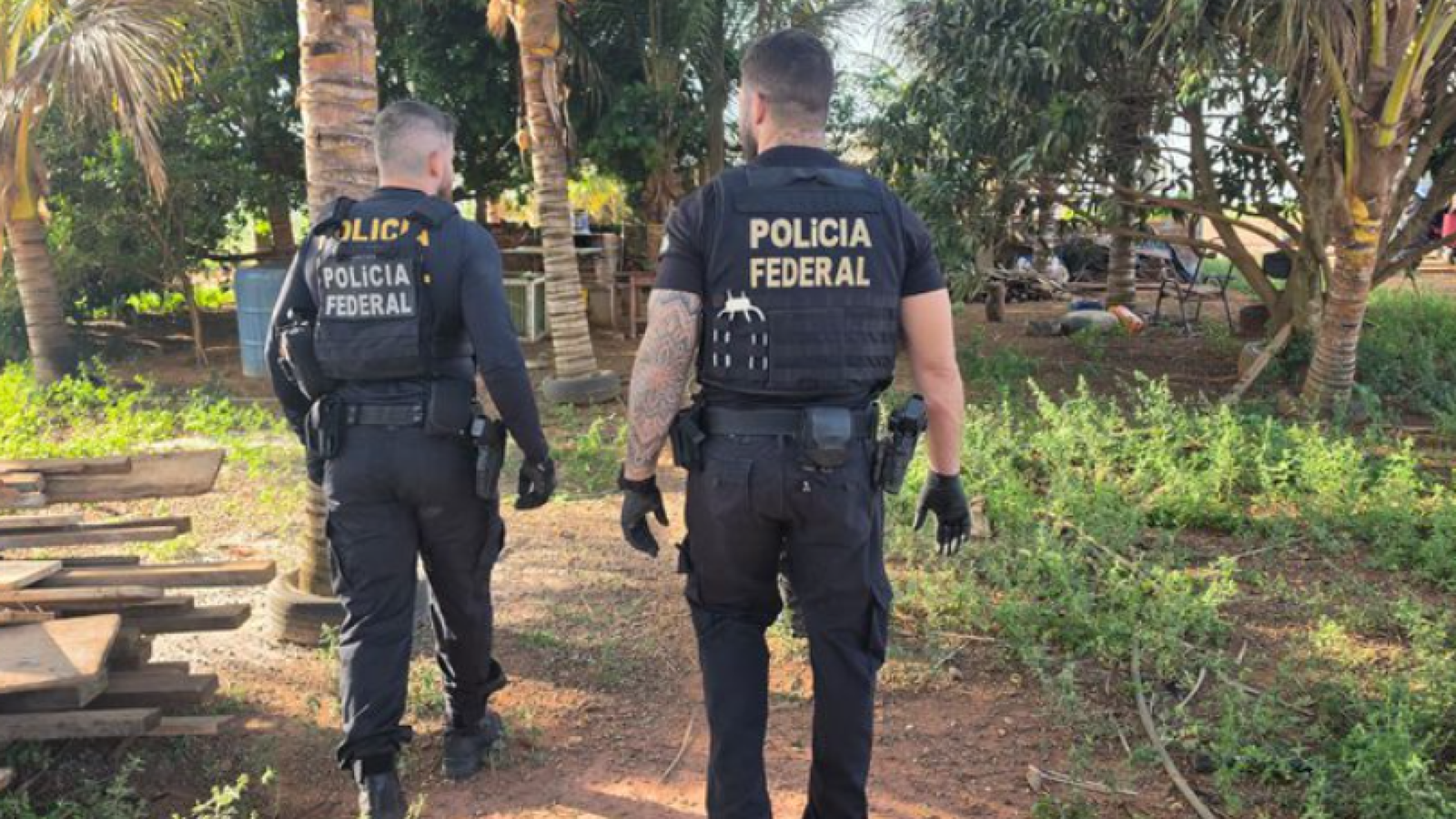 Captura-de-tela-2026-10-23-141644.png