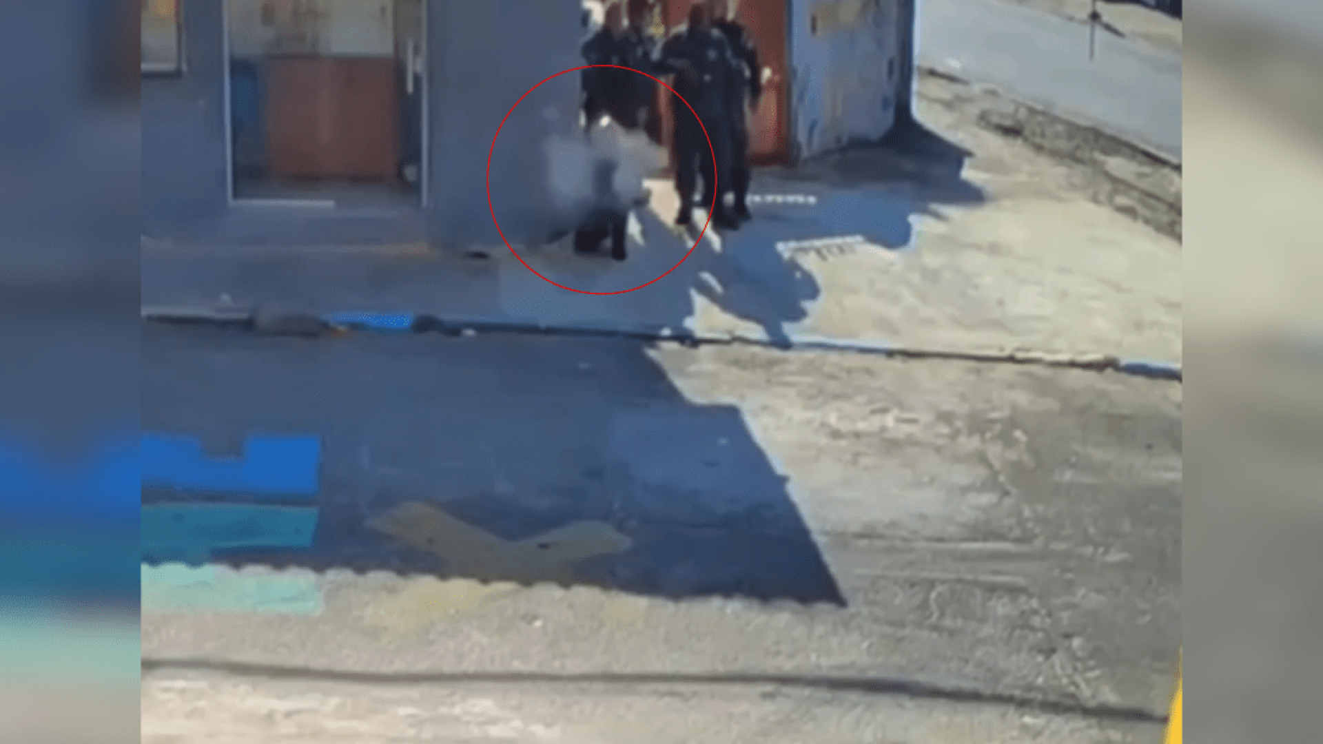 Tiro atinge parede próxima a policial militar  • Reprodução