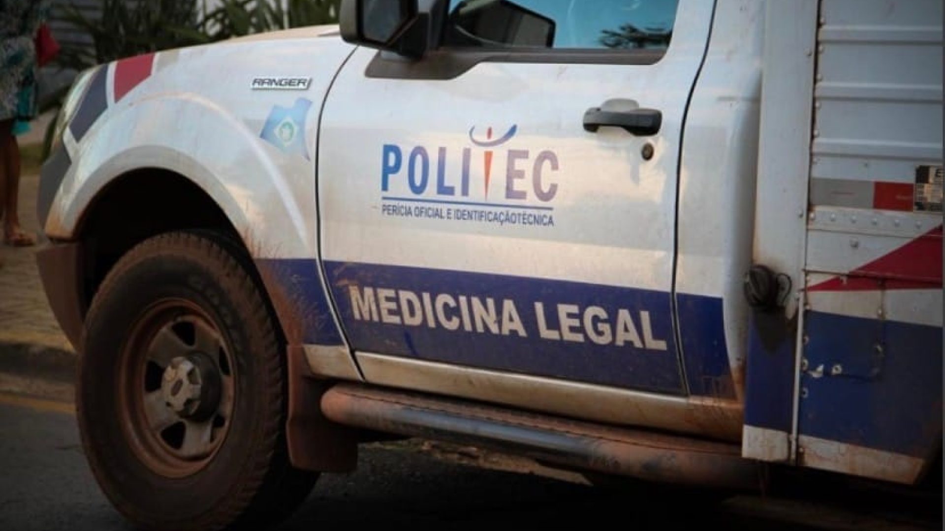 Reprodução