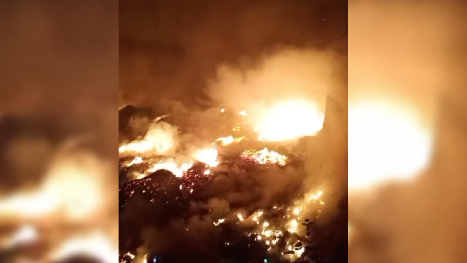 Focos de incêndio aumentaram em relação a 2025  • Reprodução/Redes Sociais