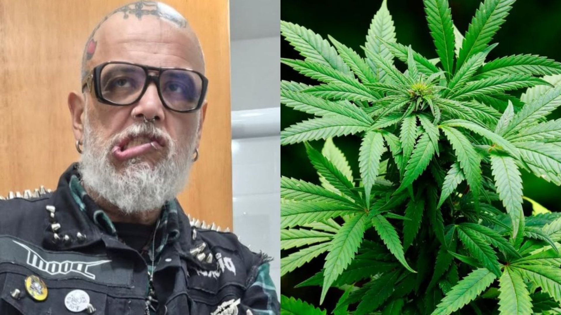   • Reprodução / Cytis / Pixabay