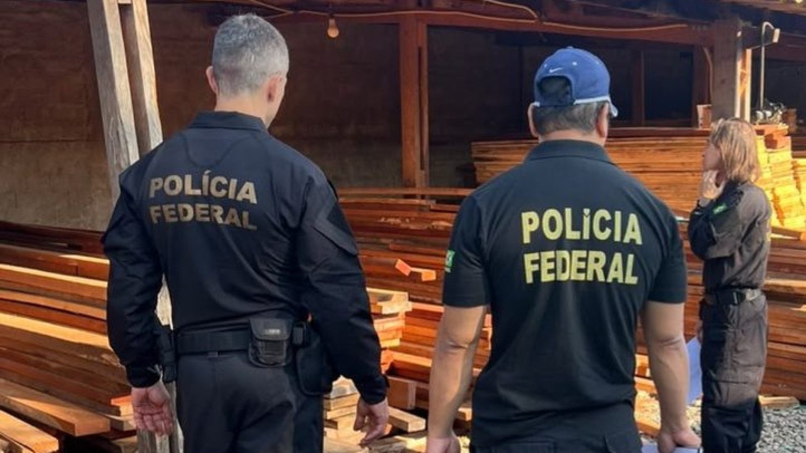 PF-madeira-e1792504337354.jpeg