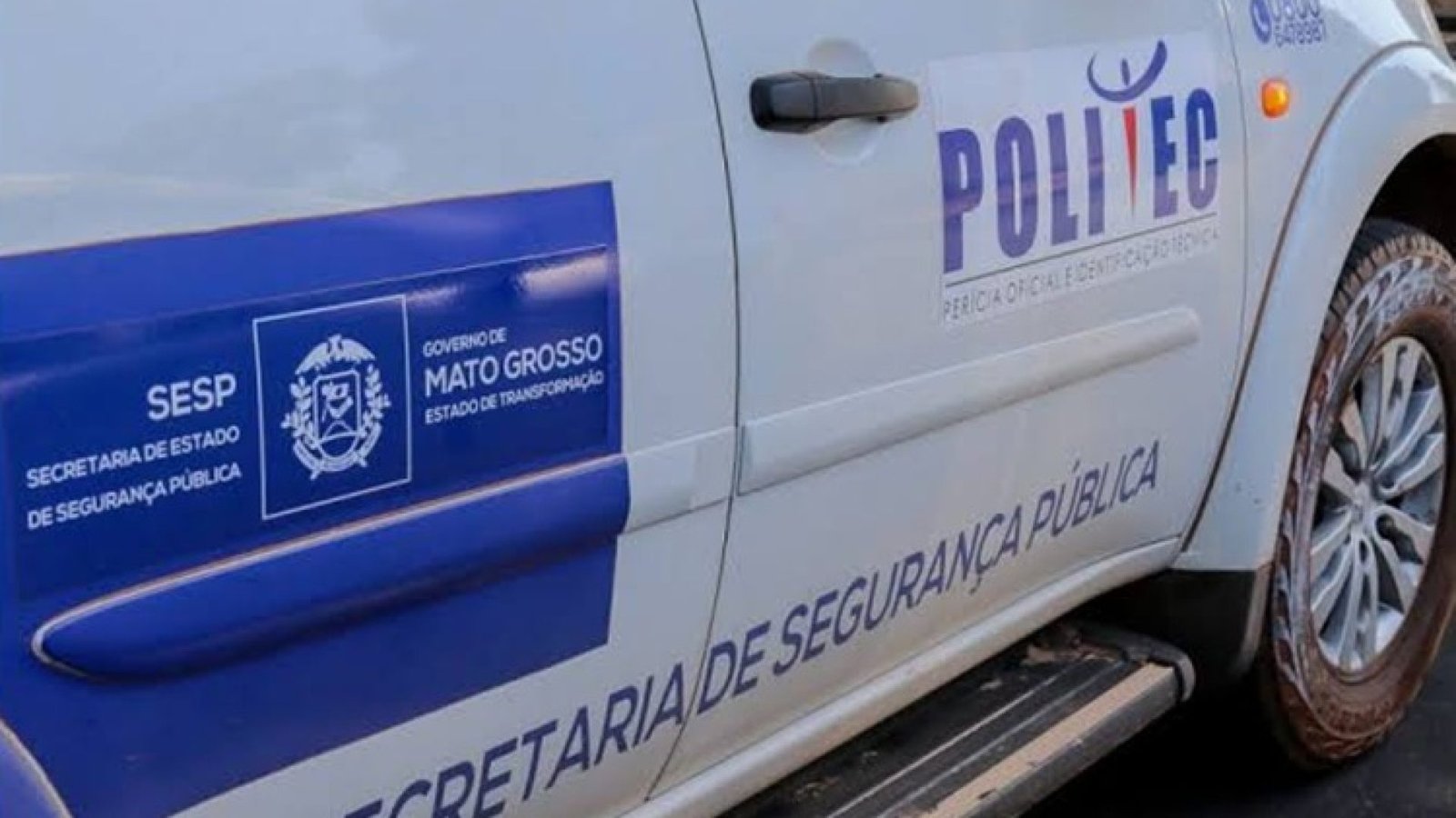 POLITECC.jpeg