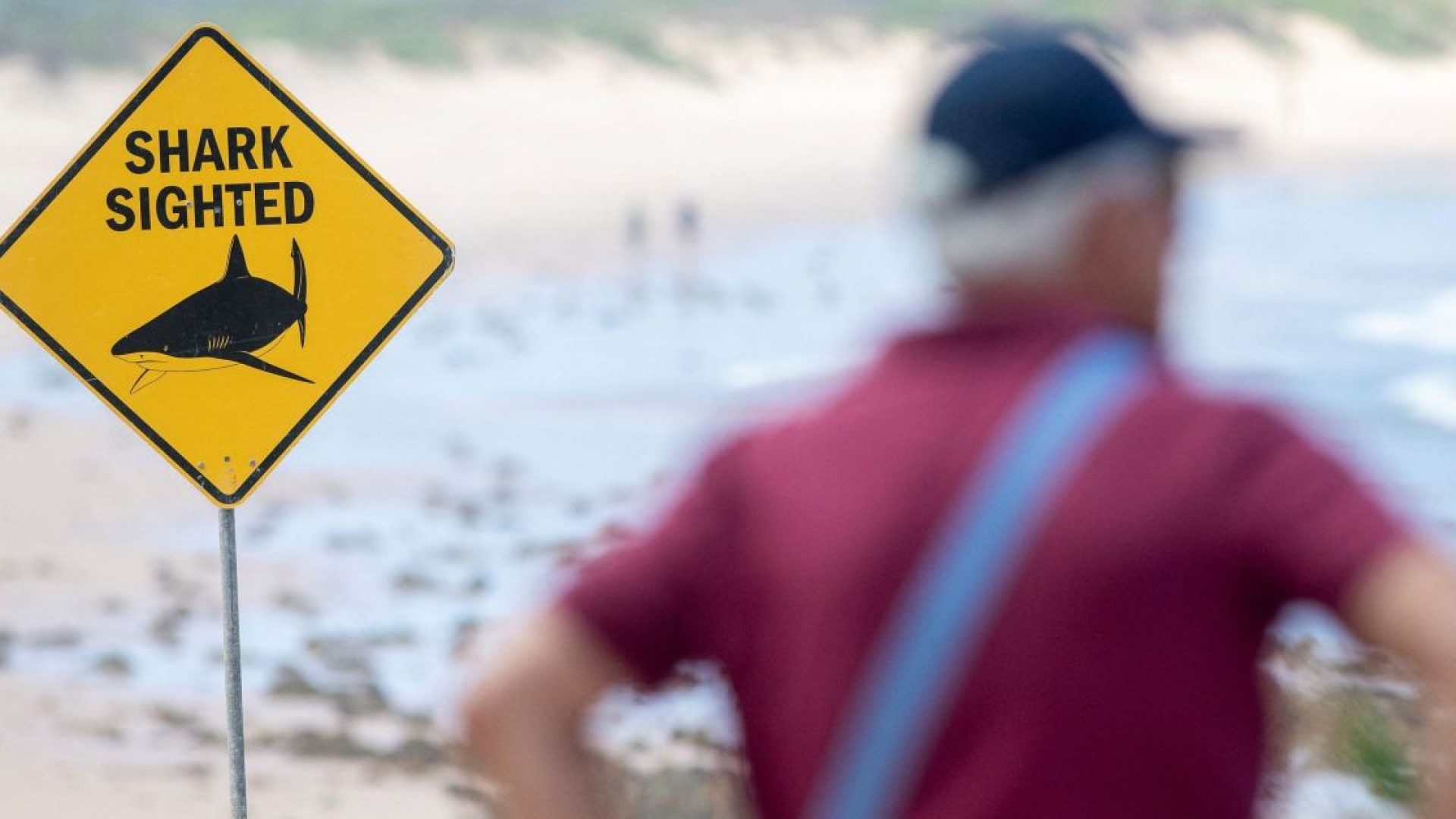 Placas de aviso foram instaladas e praias estão fechadas após ataques de tubarão em Sydney  • REUTERS/Jeremy Piper