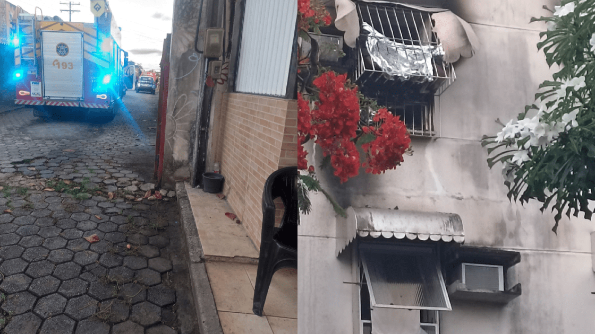 Além das crianças, outras três pessoas foram atendidas  • Reprodução/Redes sociais