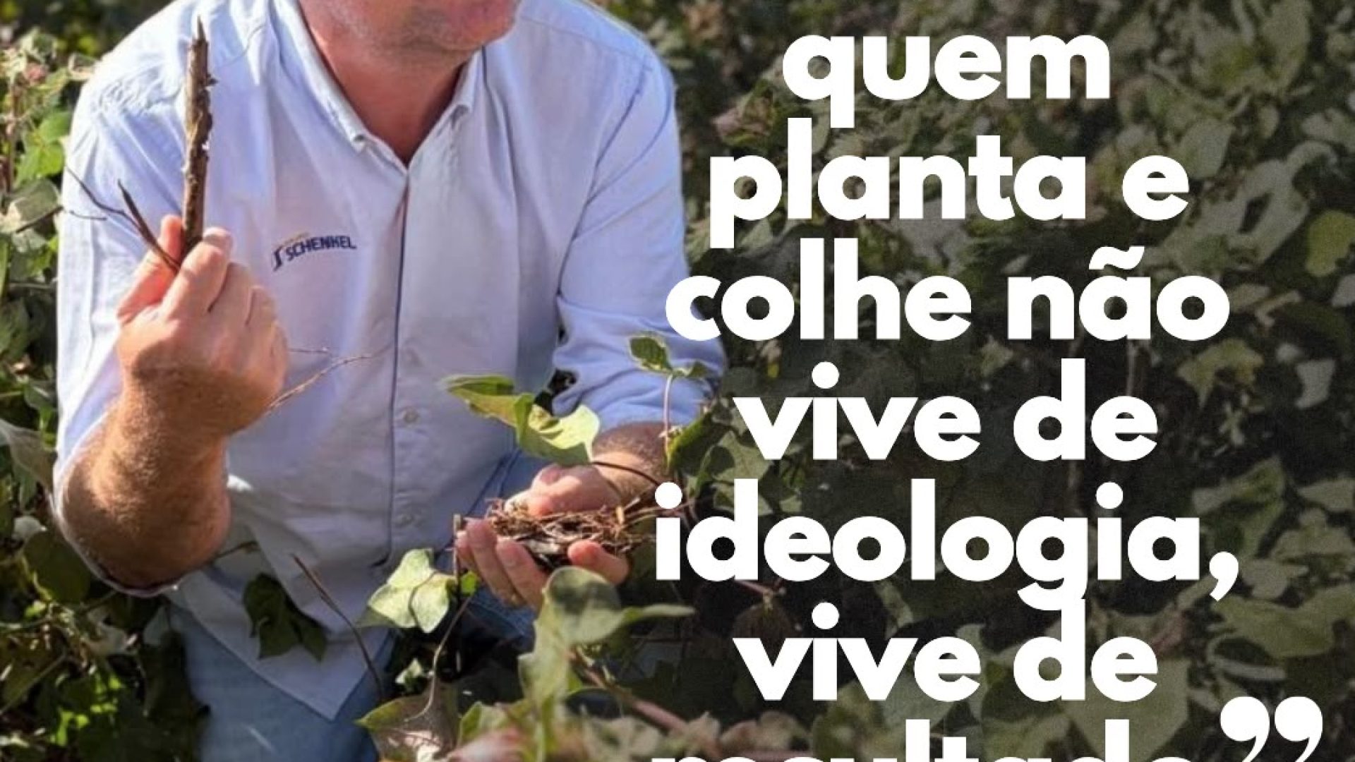 (Foto: Reprodução)