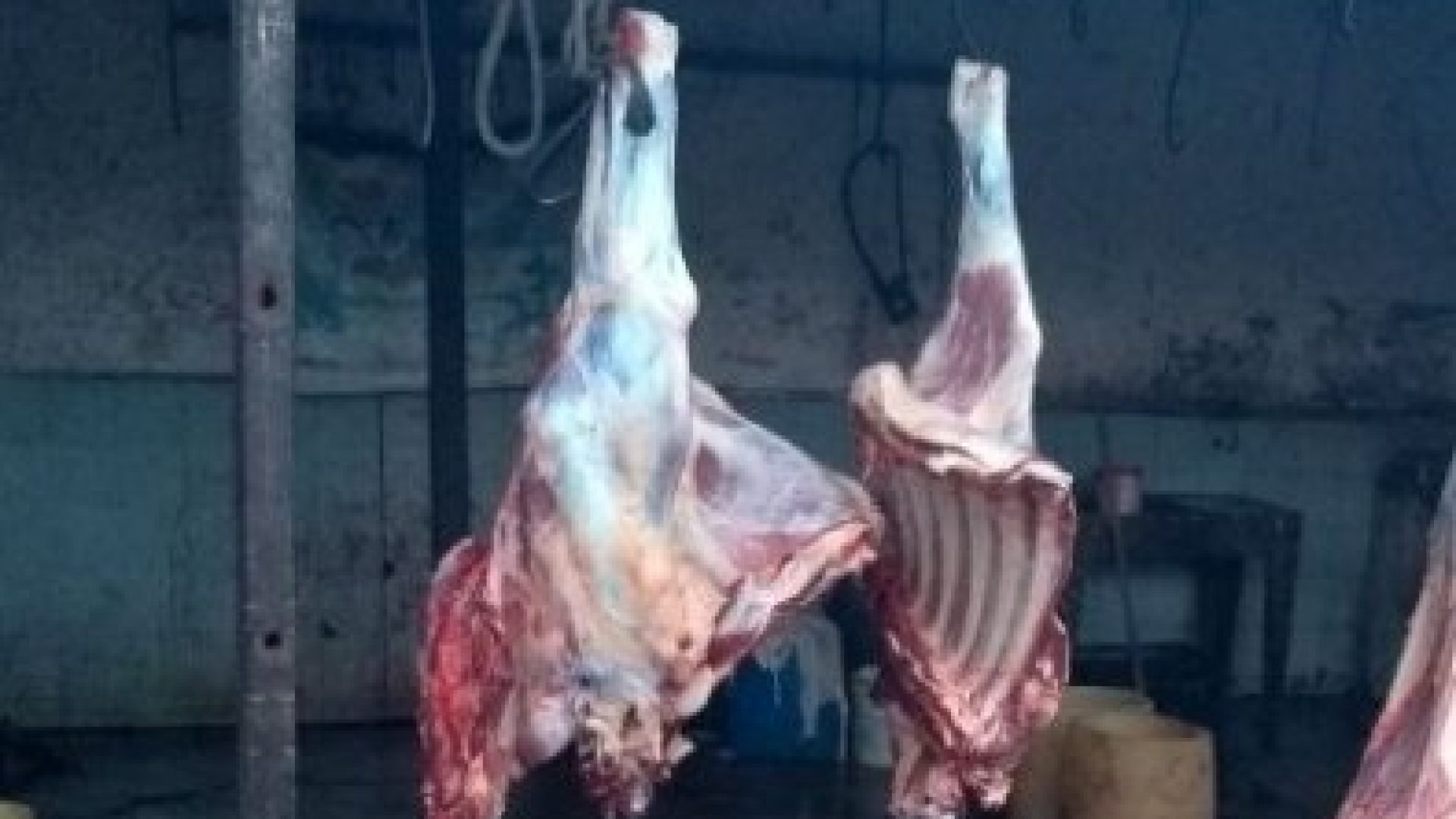 ae42bf4217b312fde4d4e714a26d2532