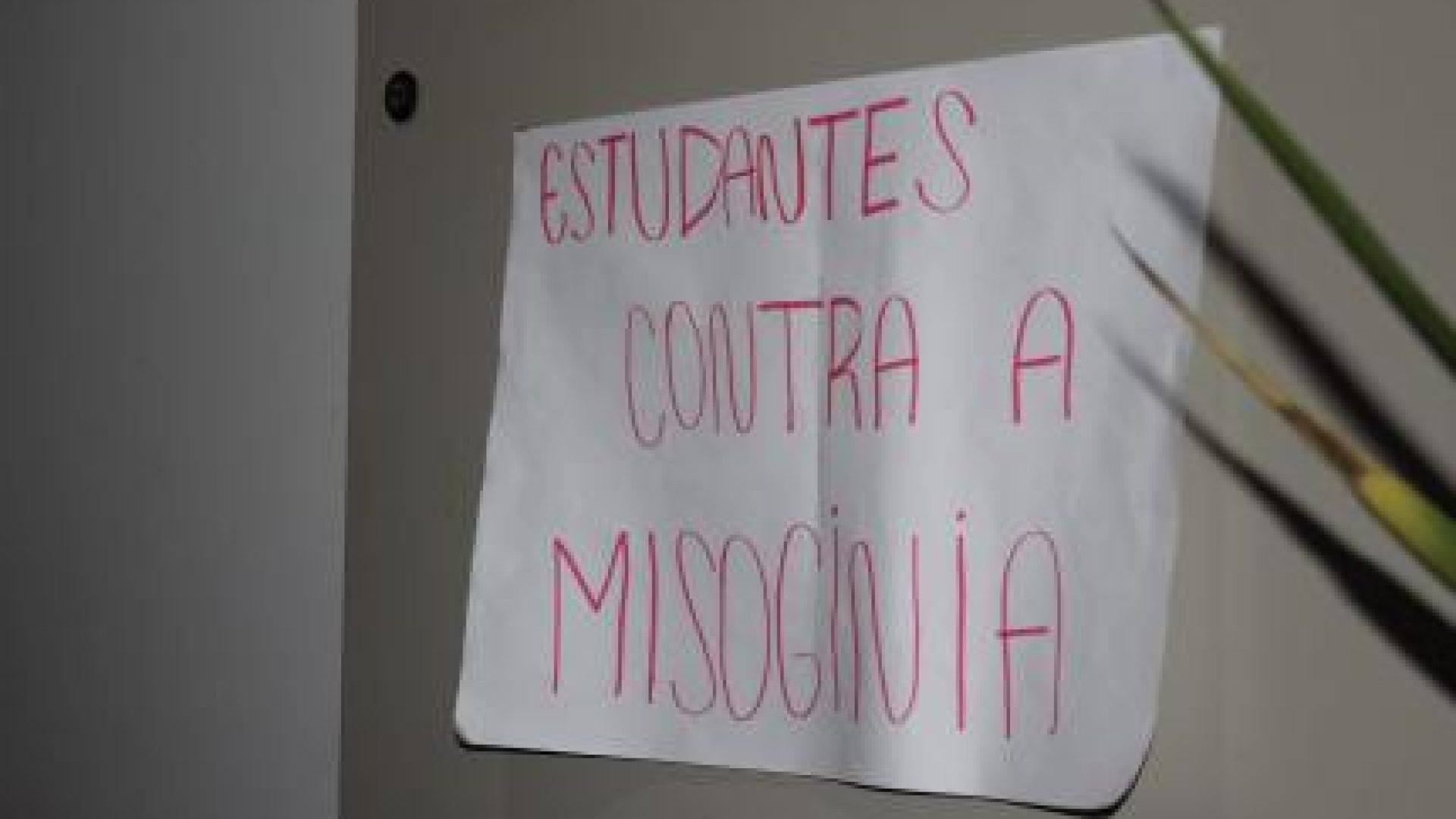afabf9823bea3b76ecec5008069275cd