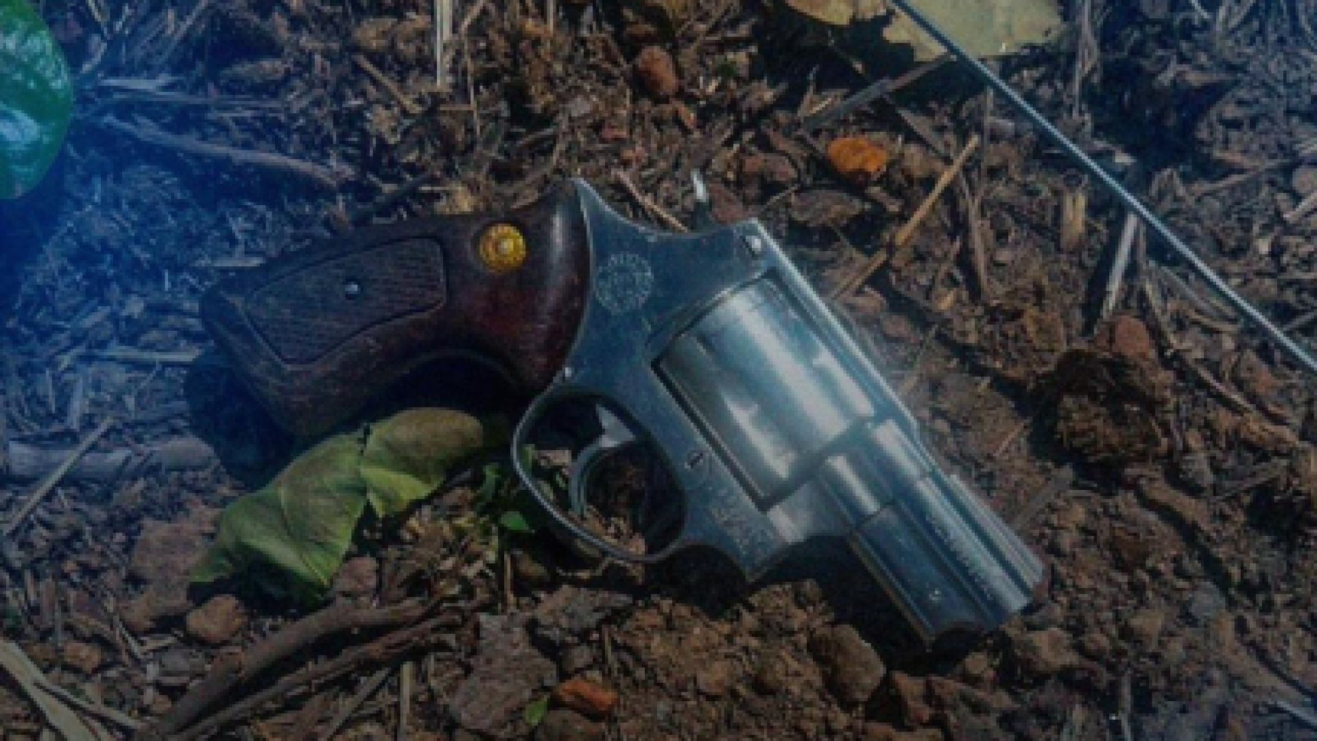 bdf04d0a9d9bdfe8d3b8e553d2d628e8