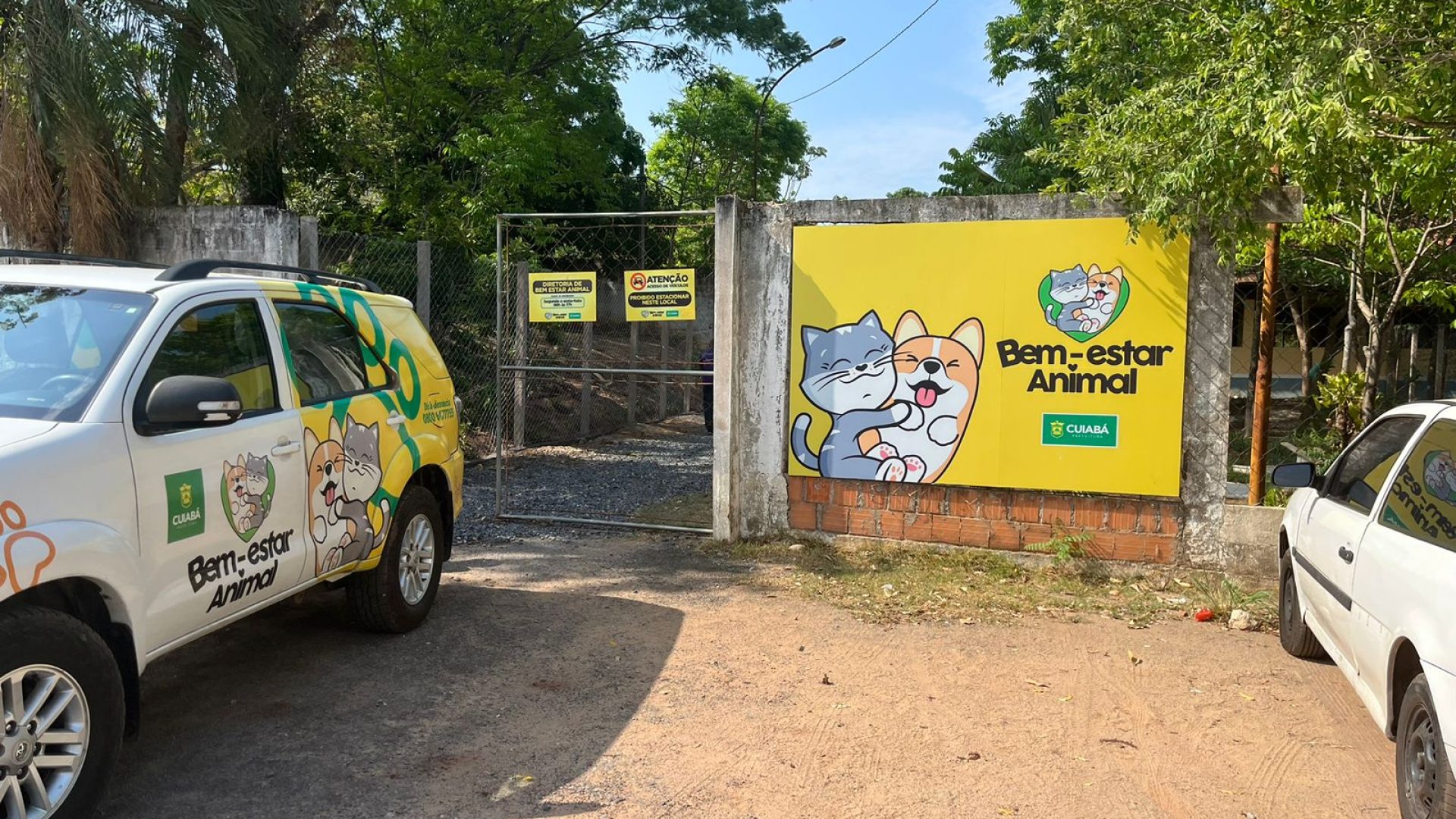 bem-estar-animal.jpg