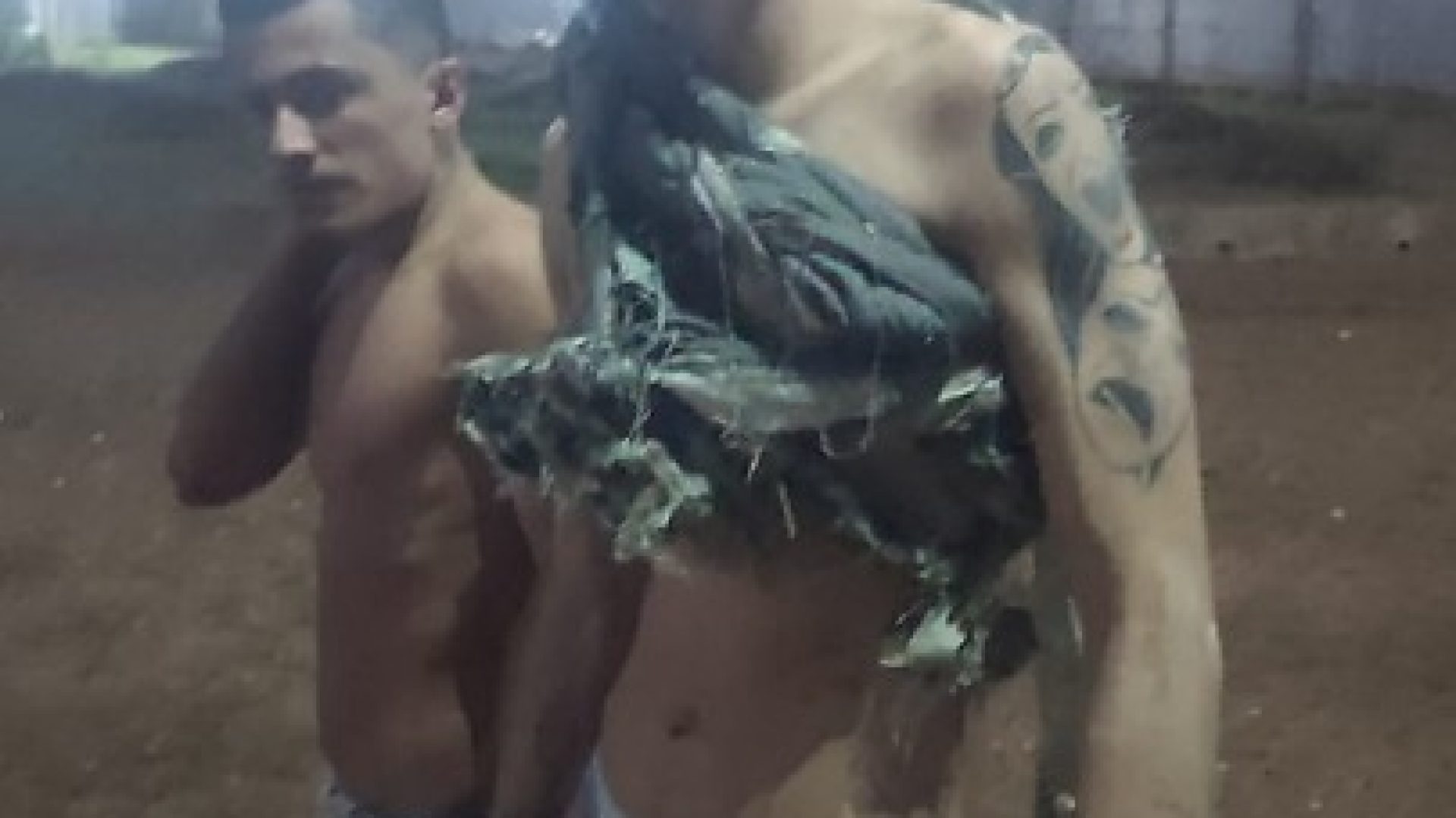 c494bbe84d88f9b0d7143a9ff561e11d.jpeg