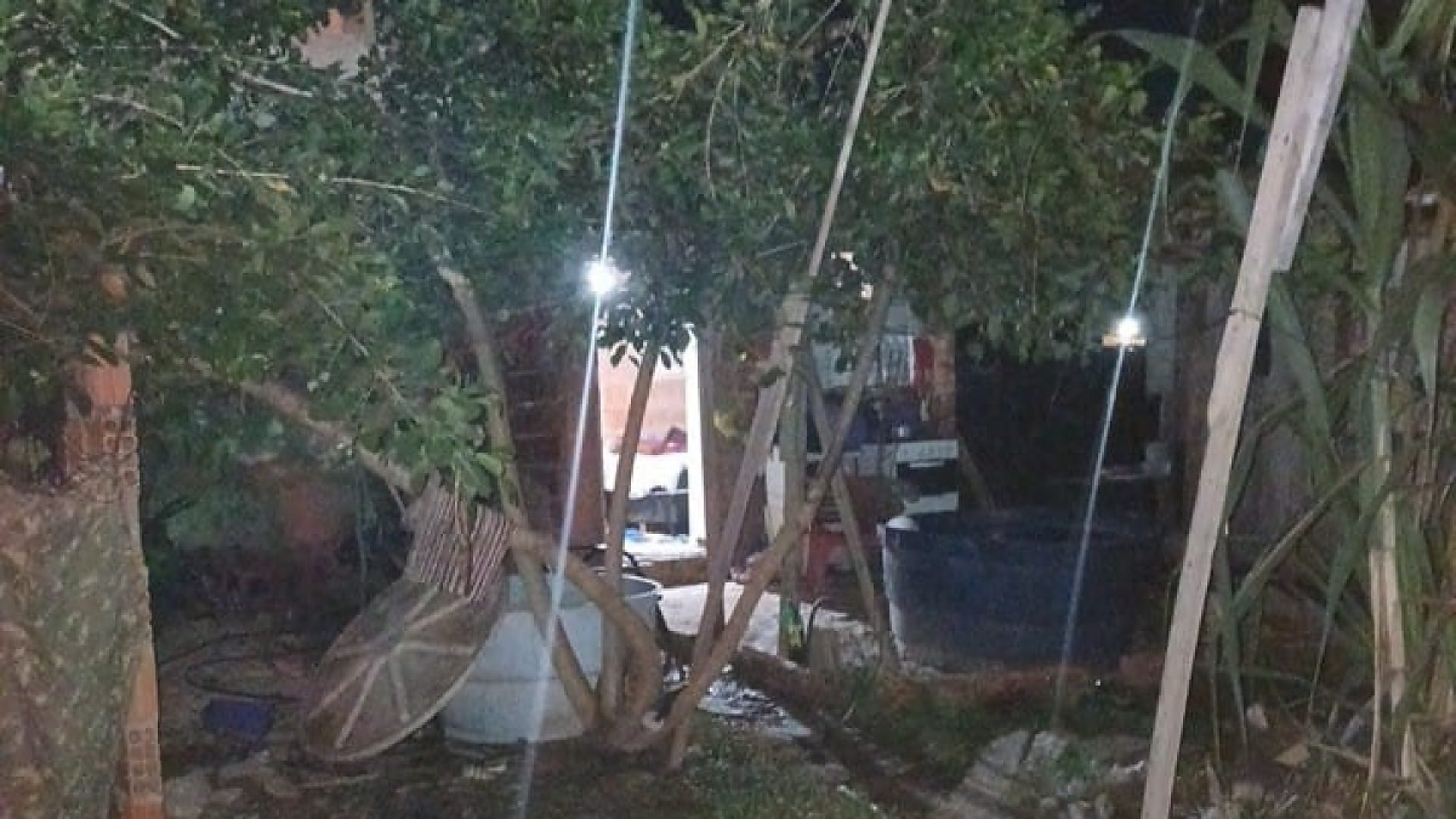 Selo Imprensa por elas - mat&eacute;rias viol&ecirc;ncia contra a Mulher