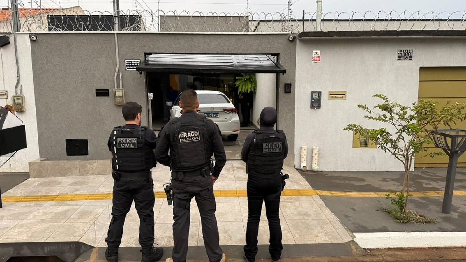 draco opera&ccedil;&atilde;o janus