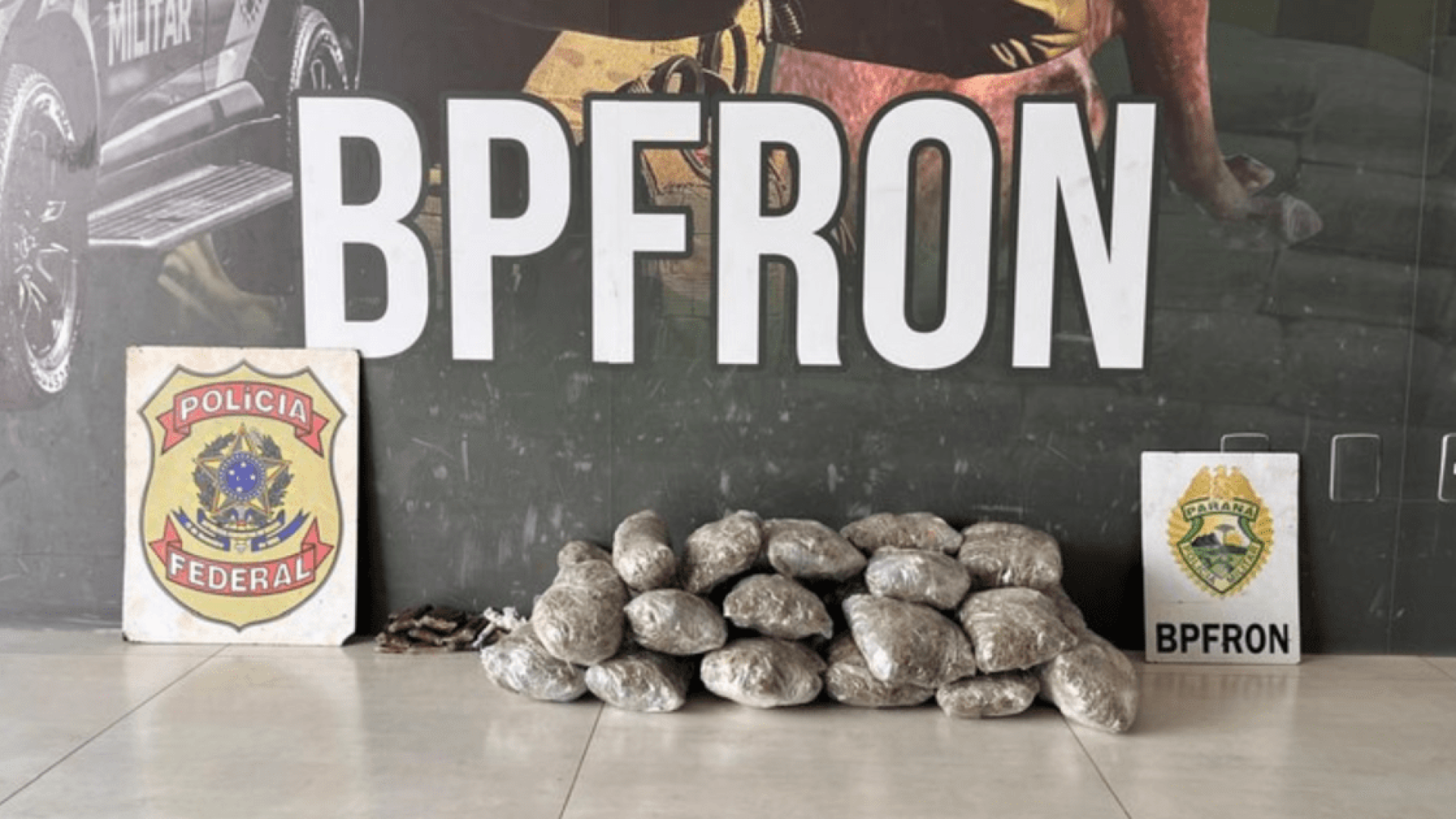 Material apreendido nesse sábado (7)  • Reprodução