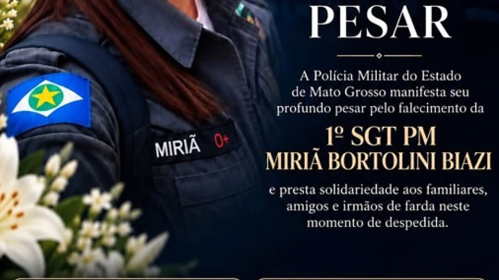e61c0ac54b02b1cd12c3b2bf78ad6bc9-hnt-com-br.jpg