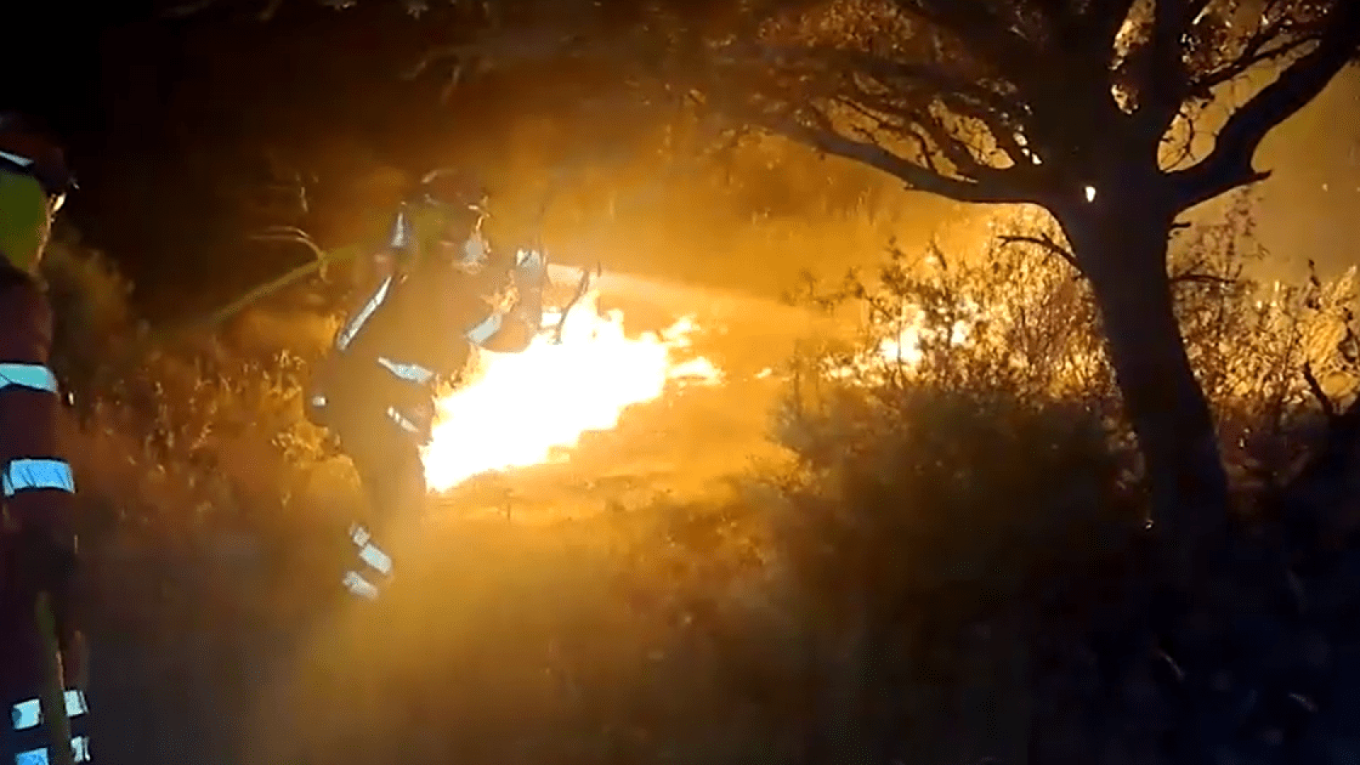 Bombeiros combatem incêndios durante a noite em várias regiões da Espanha  • SPANISH EMERGENCY UNIT VIA REUTERS