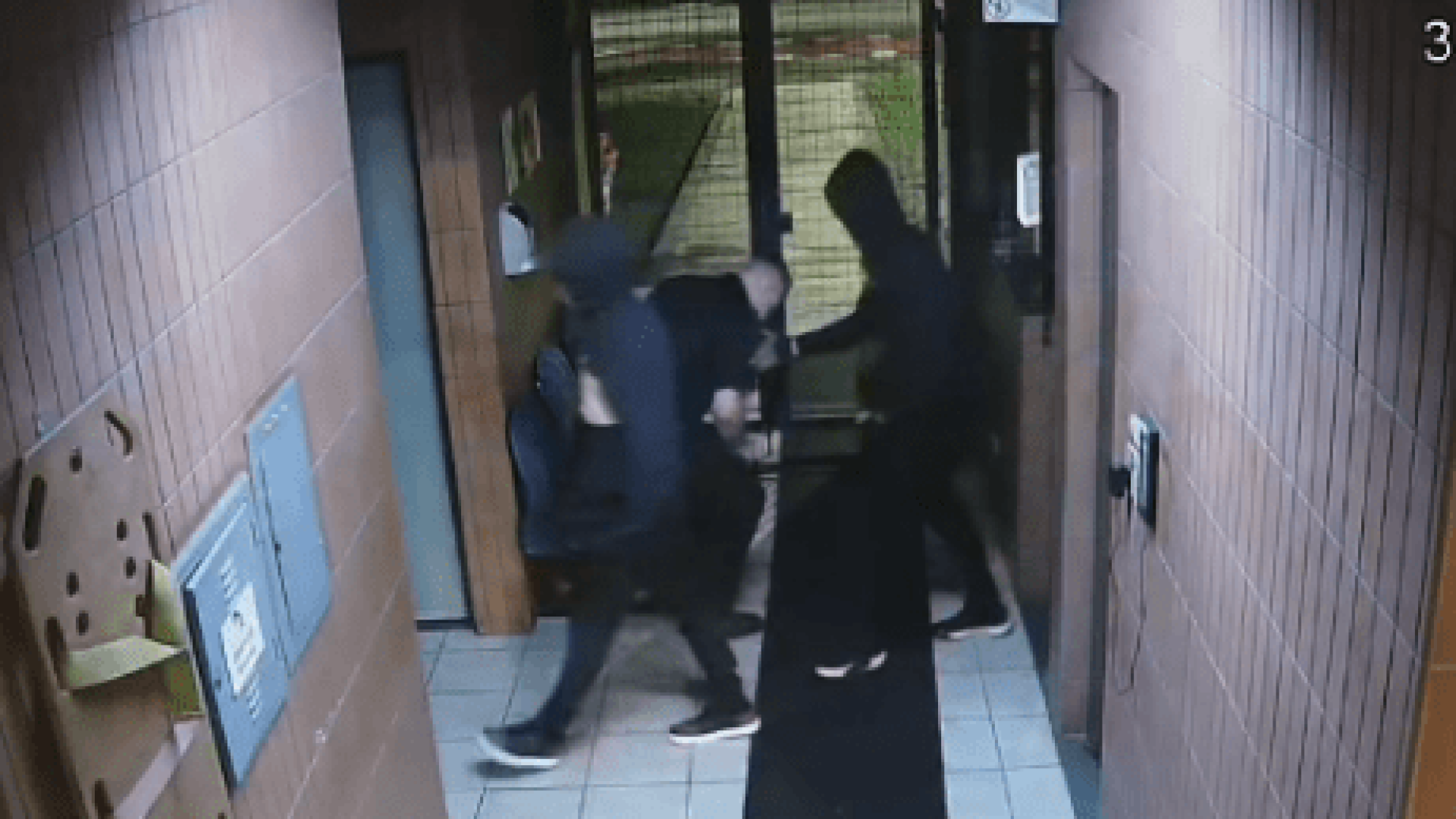 Criminosos armados renderam vigilantes e roubaram materiais de um prédio da Universidade de São Paulo (USP) na madrugada desta quinta-feira (1º)  • Reprodução